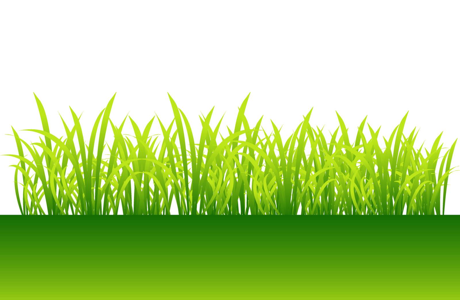 Spring, green grass for your design by Kudryashka