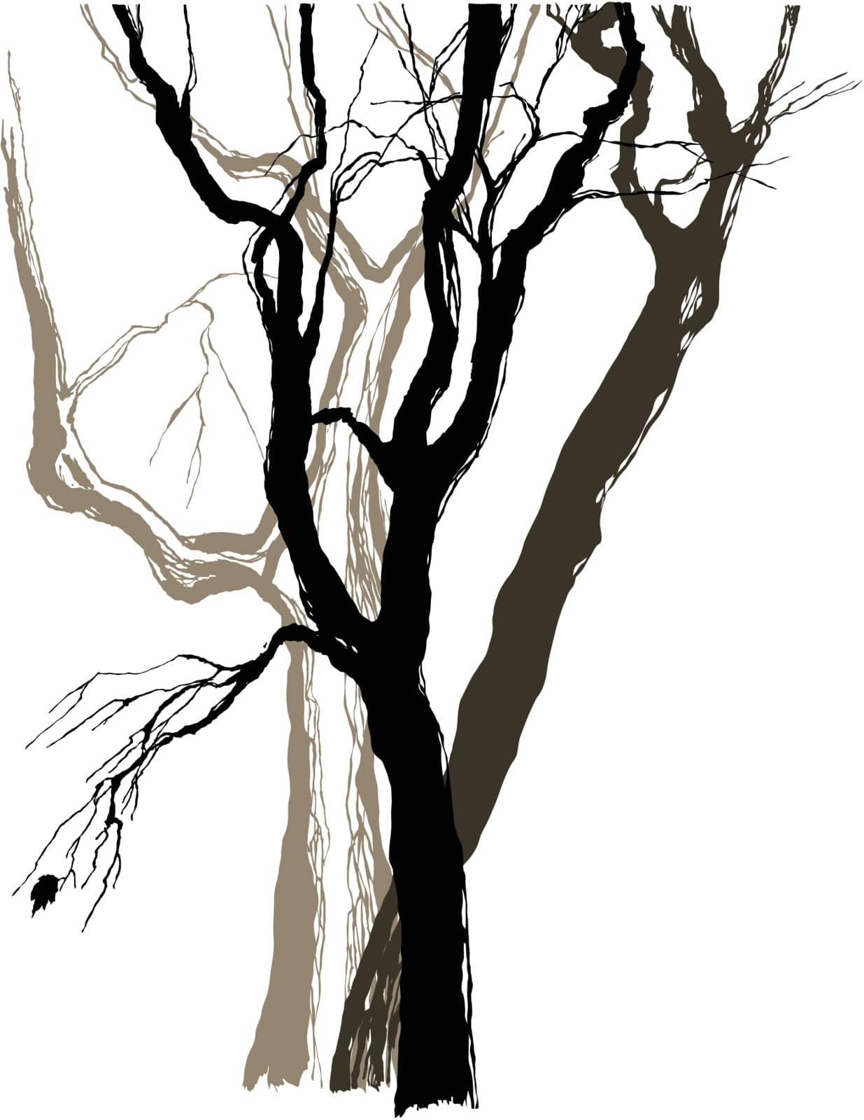 old trees drawing graphic sketch