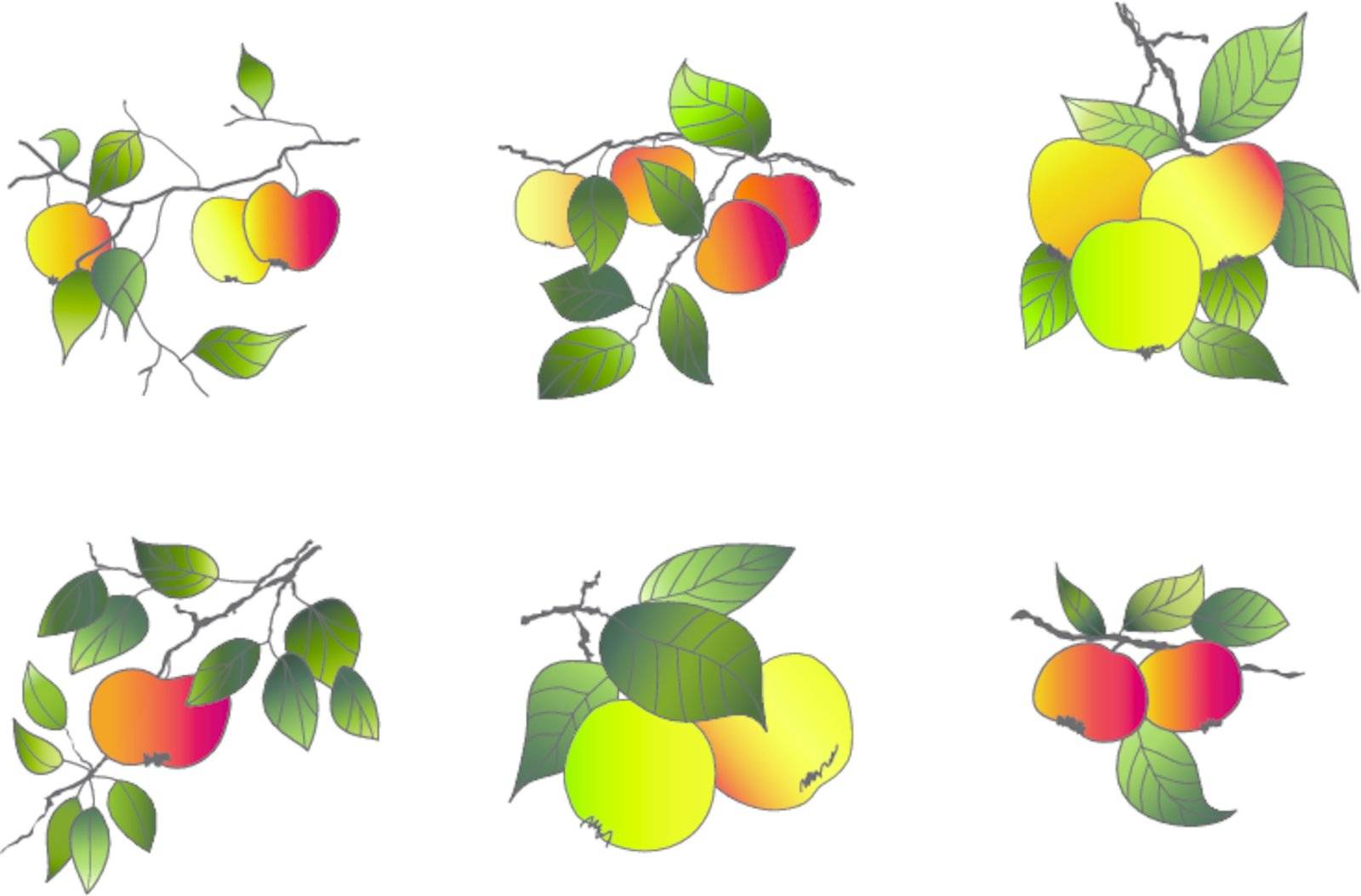 drawing apples set 