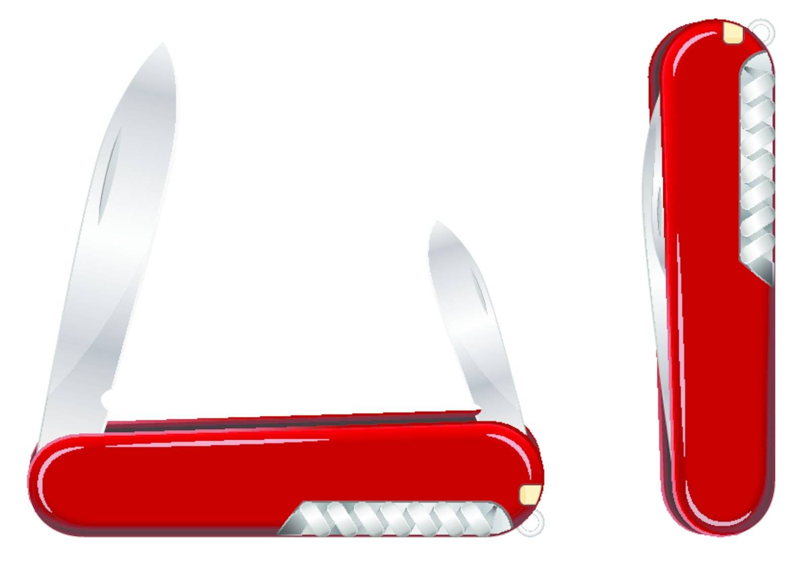 Vector illustration of a swiss army knife. EPS8