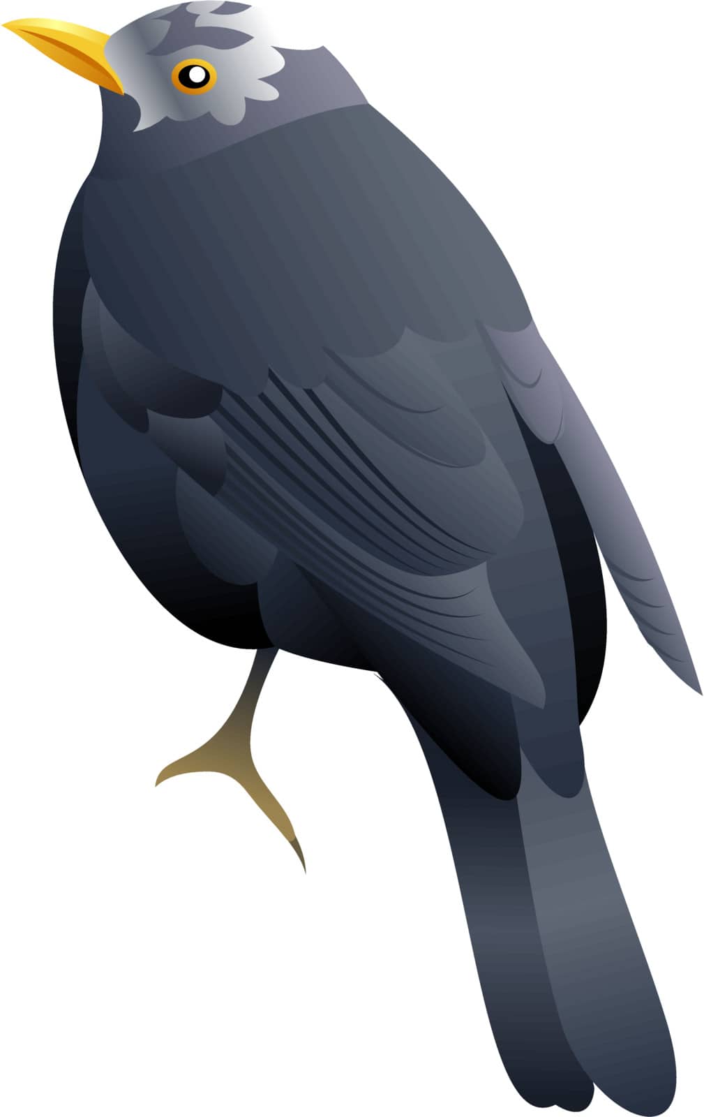 illustration of a black bird with white head