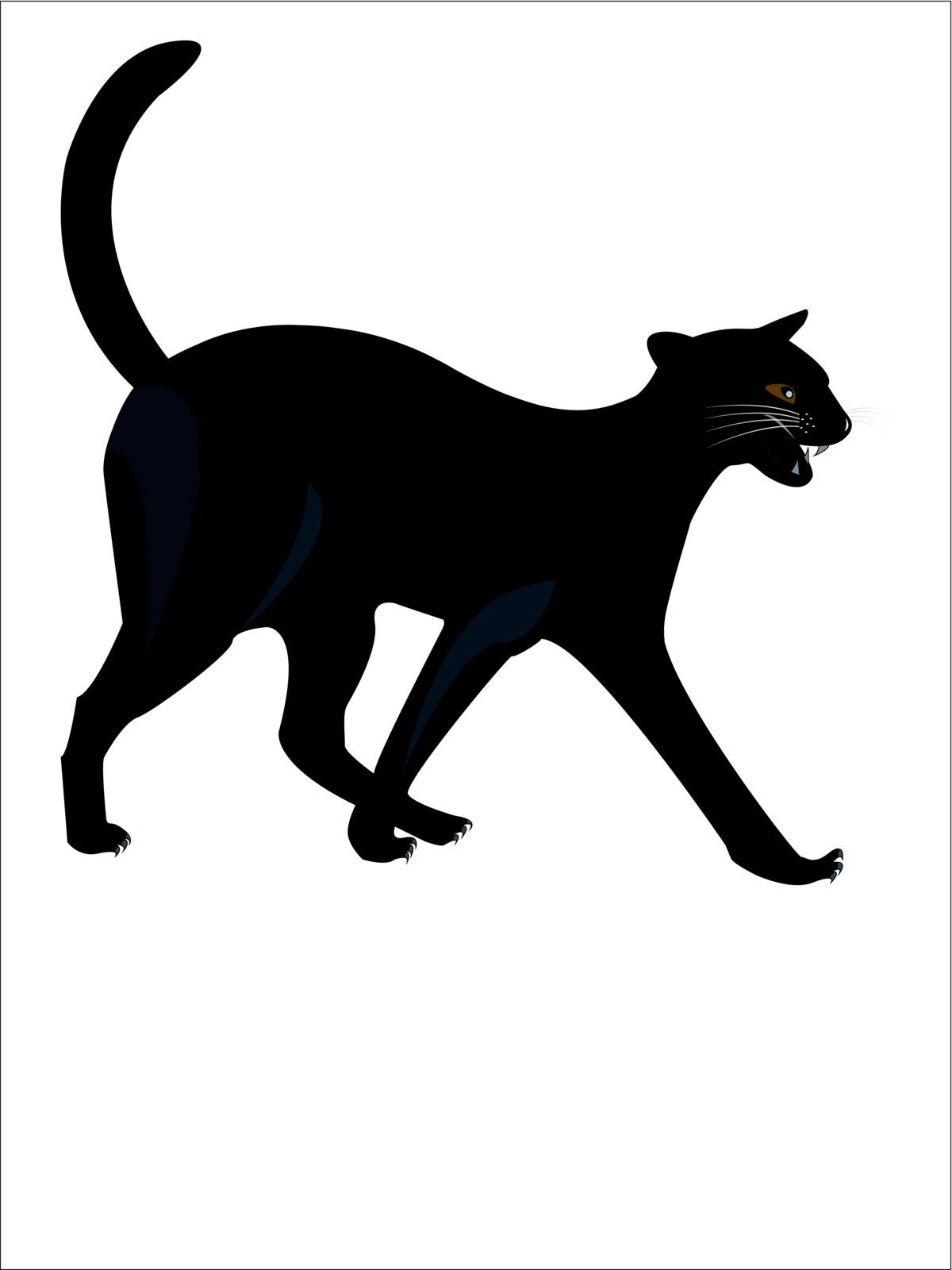 Black cat standing on the white background