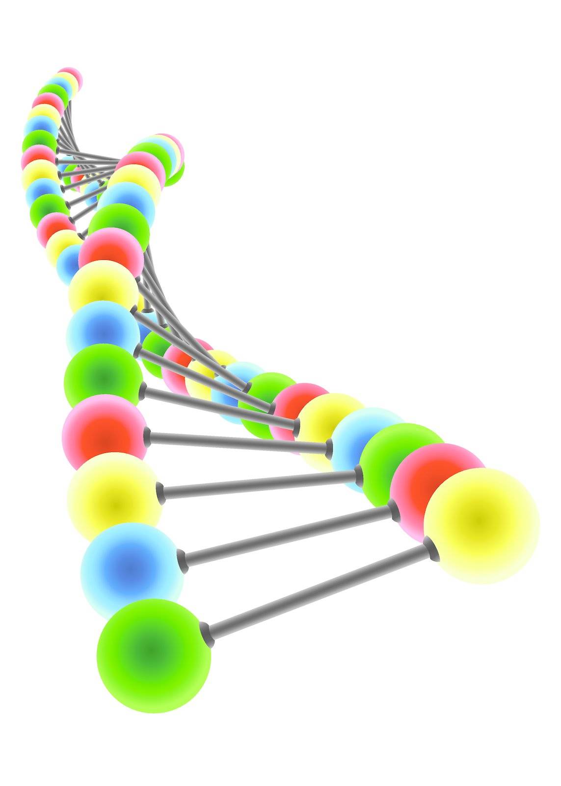 DNA model by Neokryuger