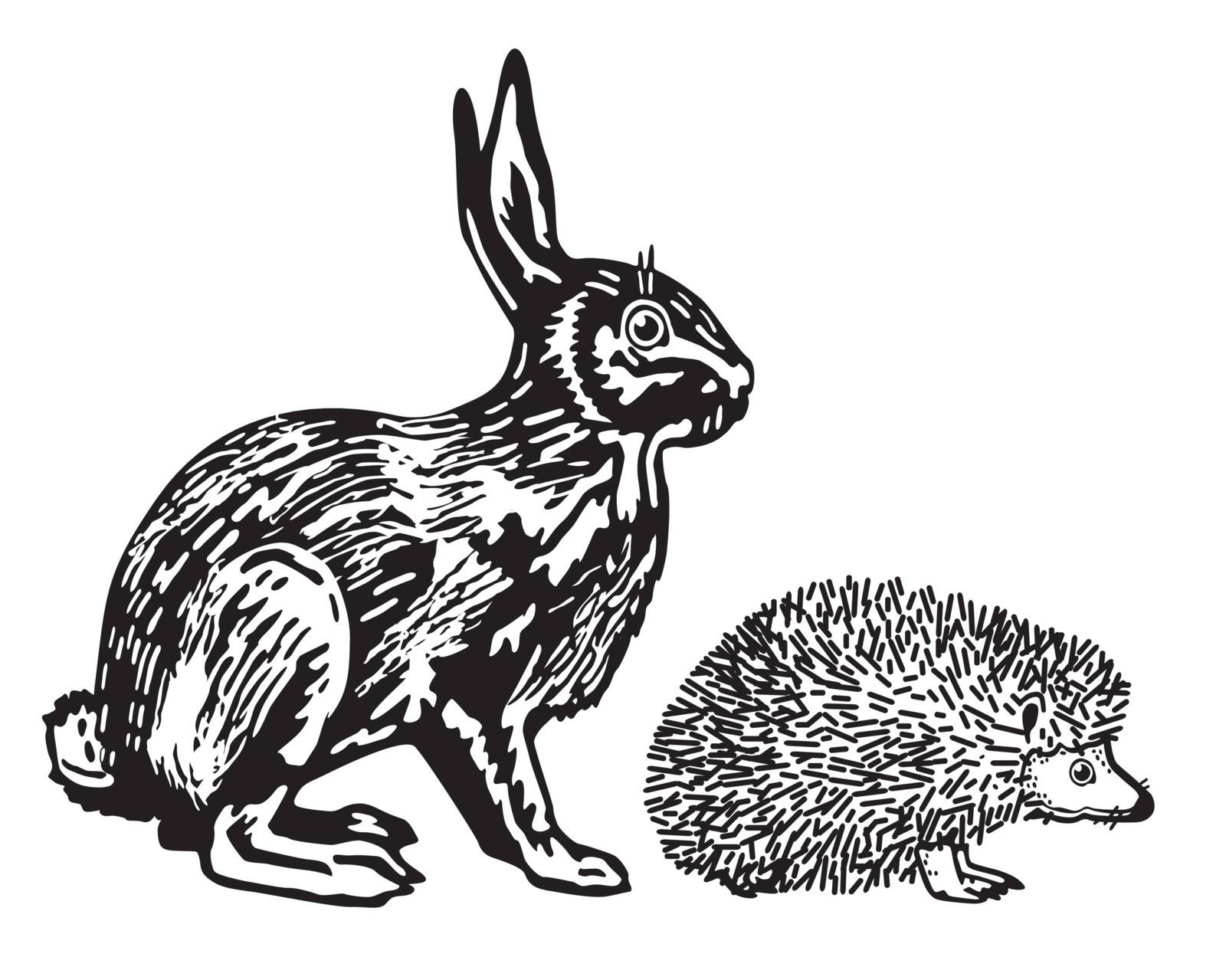 Hare and Hedgehog by scusi