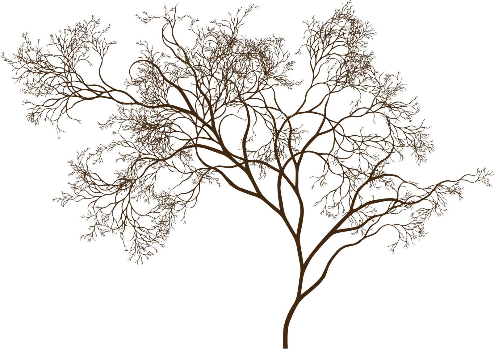 detailed tree silhouette, vector background
