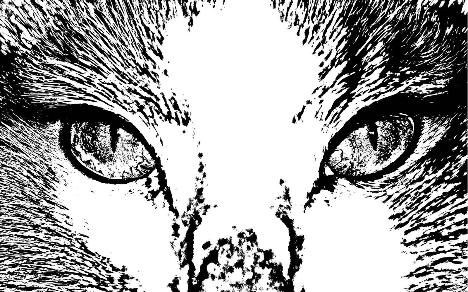 Vector cat face close up        