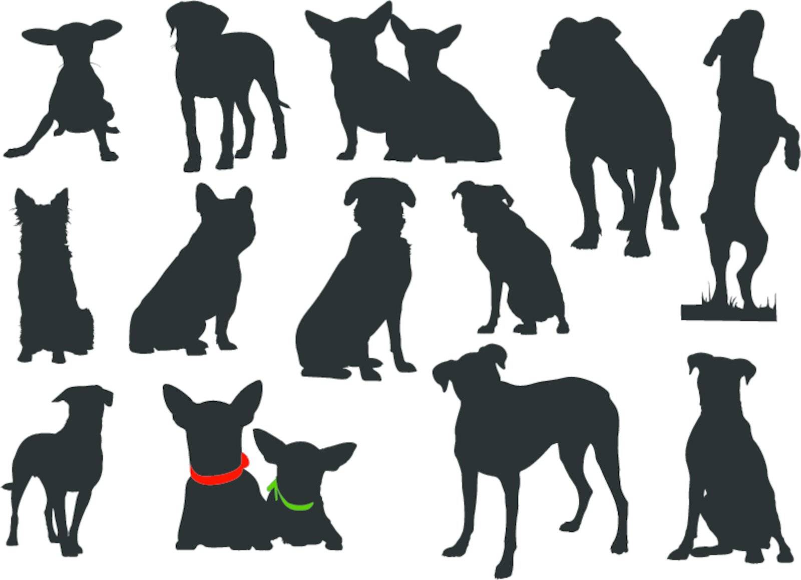 Big set of dog silhouettes. Vector illustration by leonido