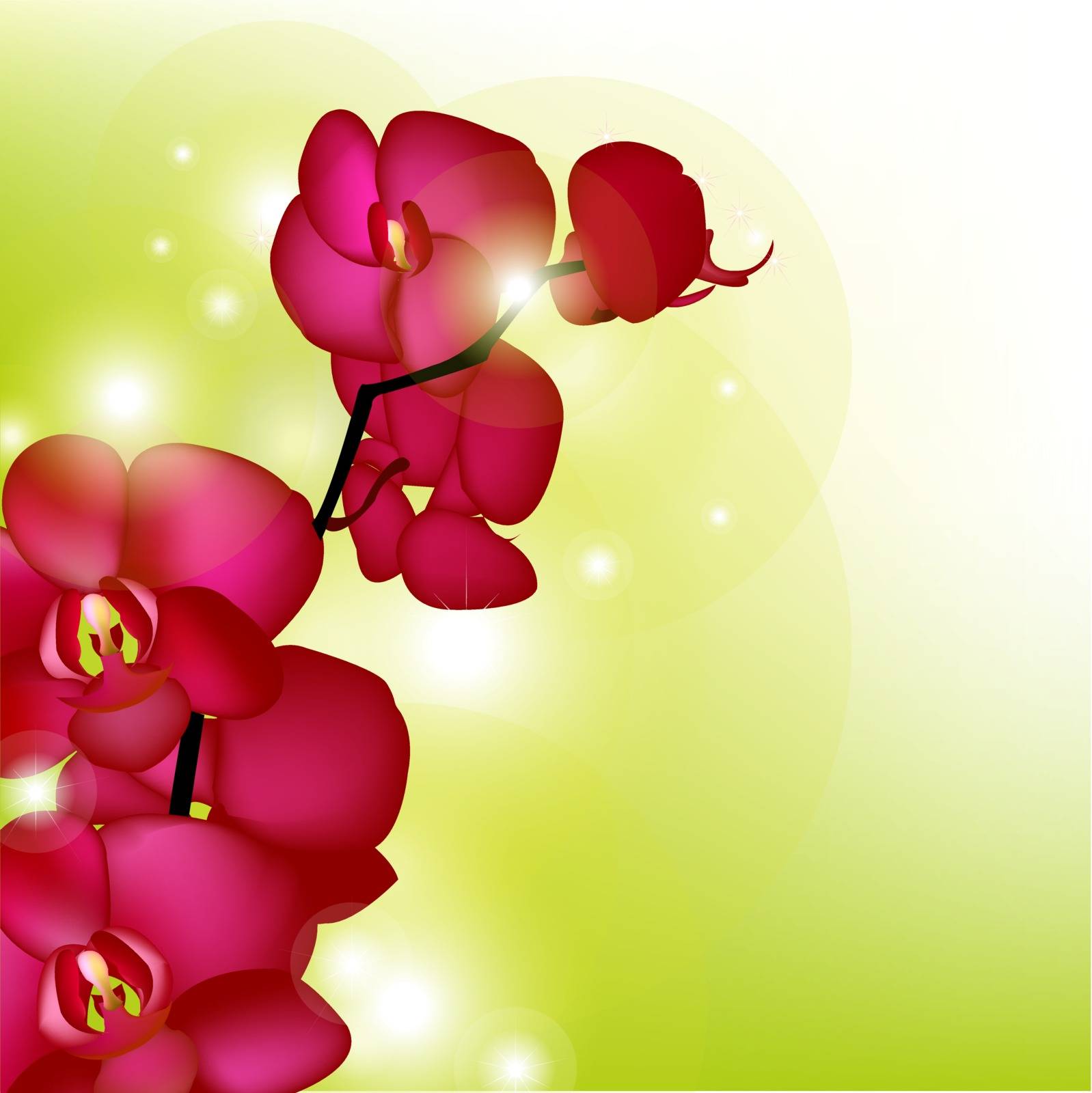 Pink Orchids With Blur, Vector Illustration