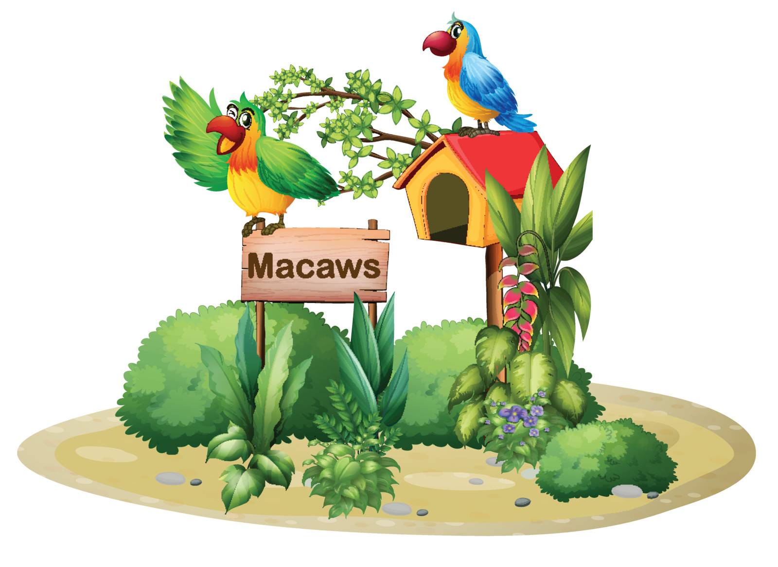 Illustration of the two colorful parrots above a signboard and a birdhouse on a white background