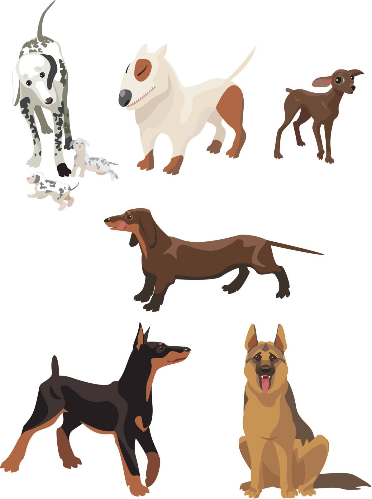 pet; dogs isolated