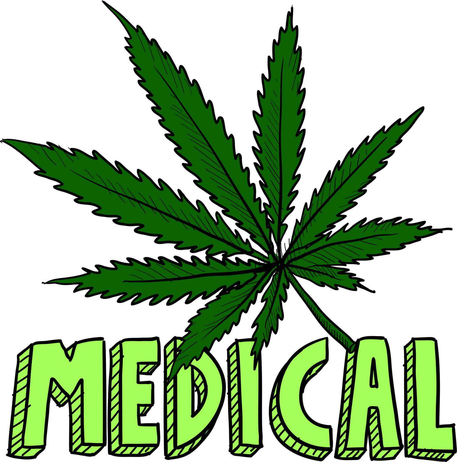 Doodle style medical marijuana leaf sketch in vector format. Includes text and pot plant.