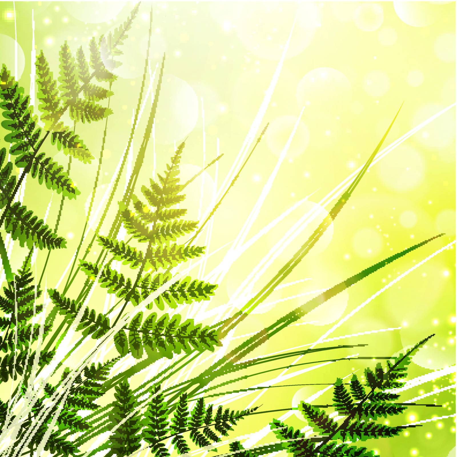 Green Fern Over Sunny Bright Background