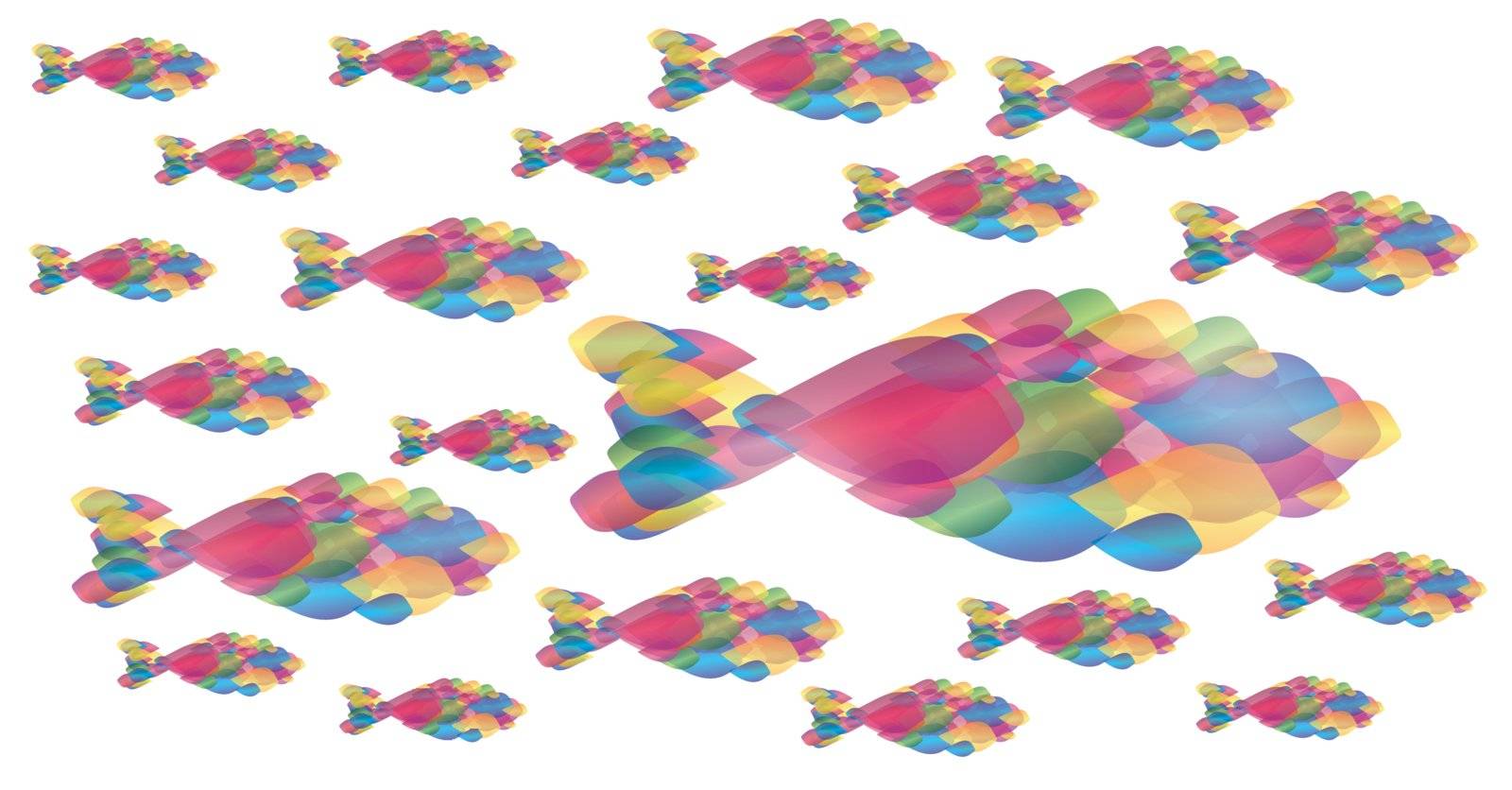 Many fish of colors over white background