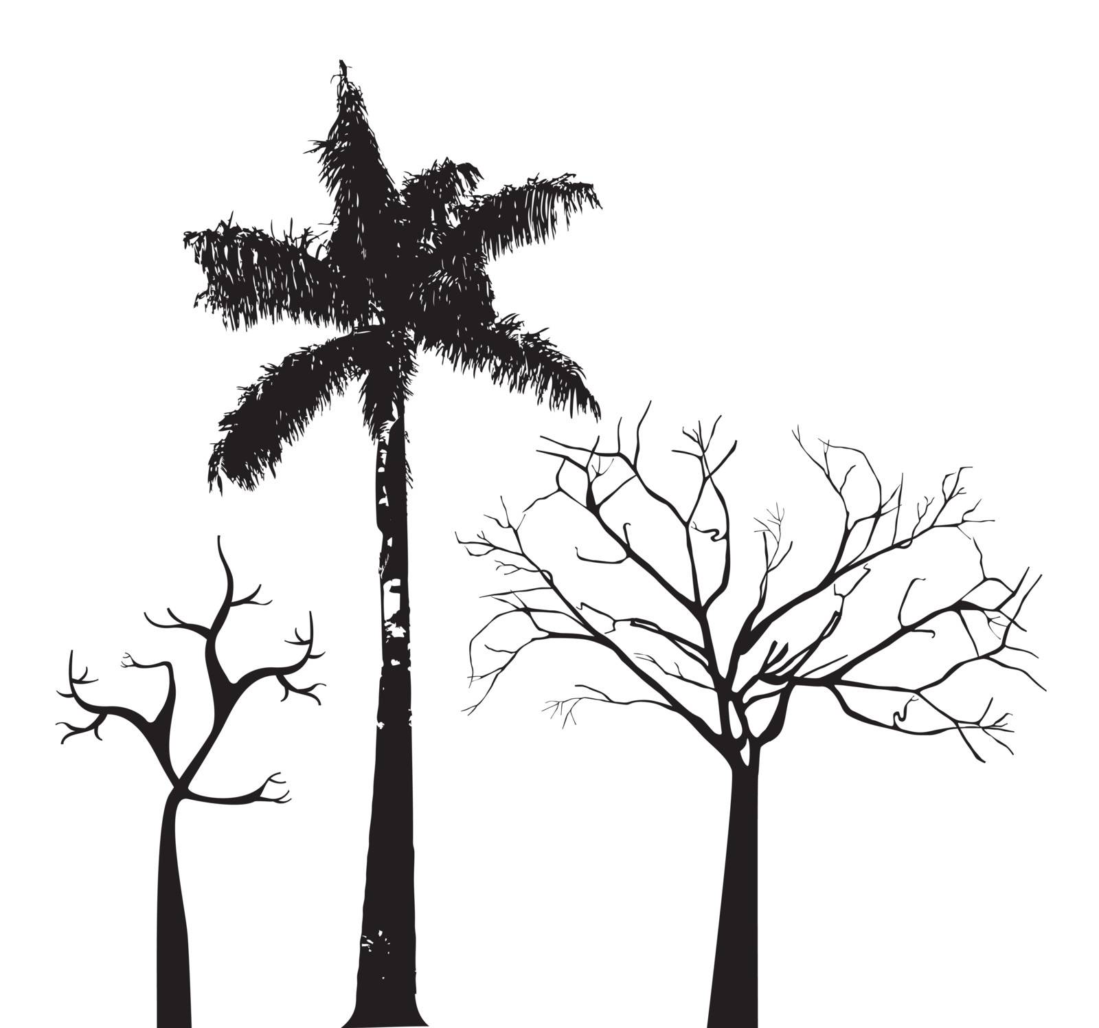 Tree over white background vector illustration. Natural background