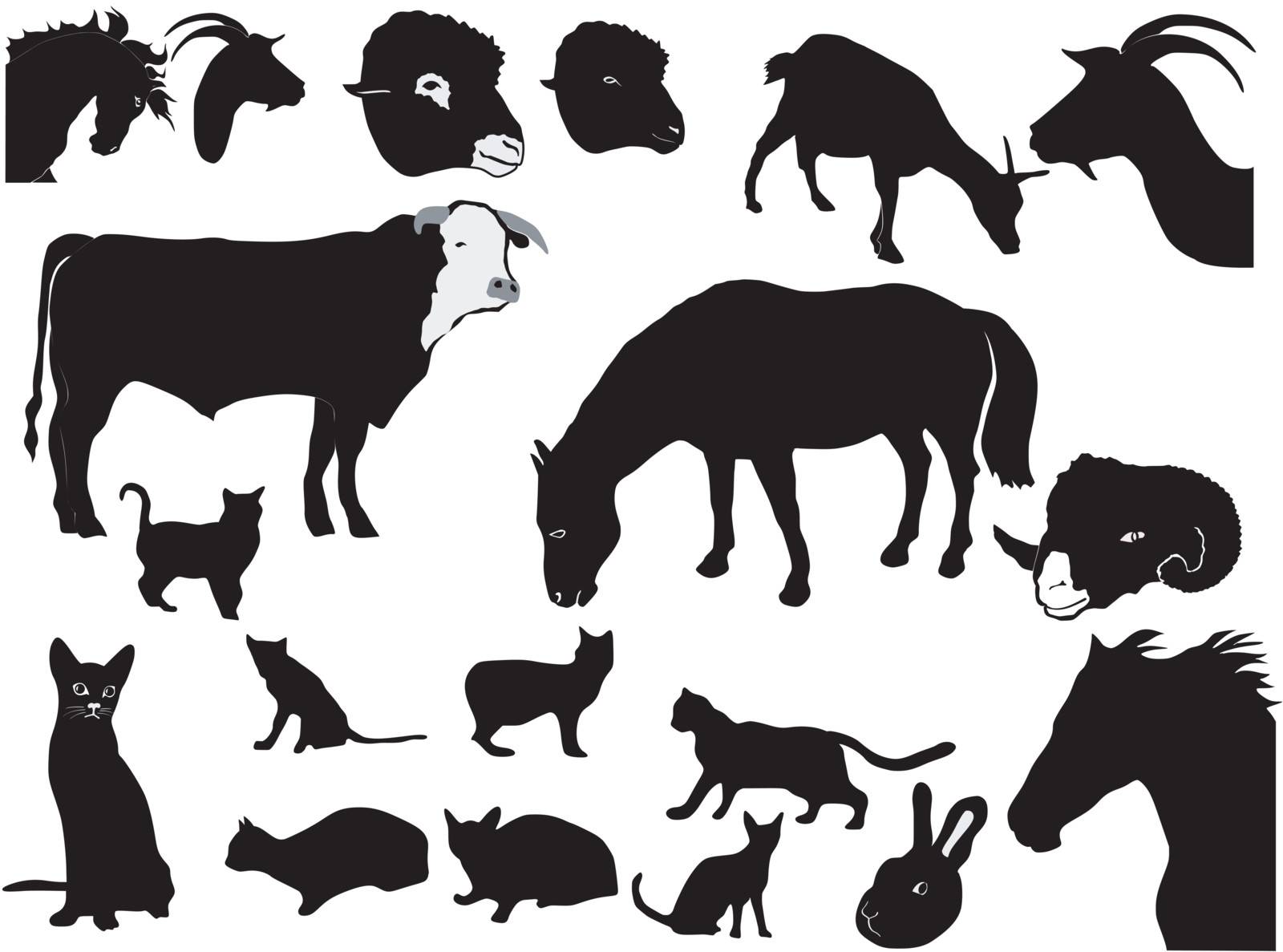 Set of the silhouettes of domestic animals