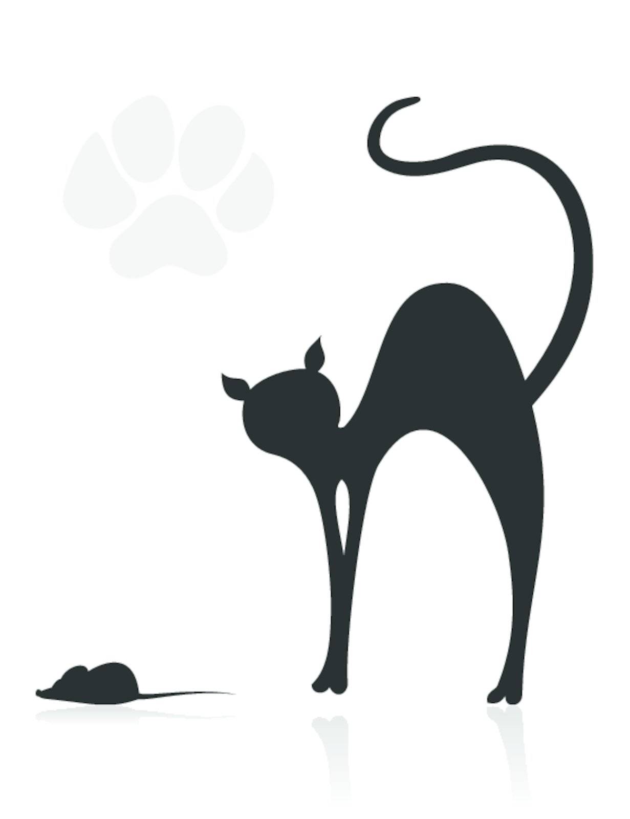 The black cat hunts on the mouse. A vector illustration