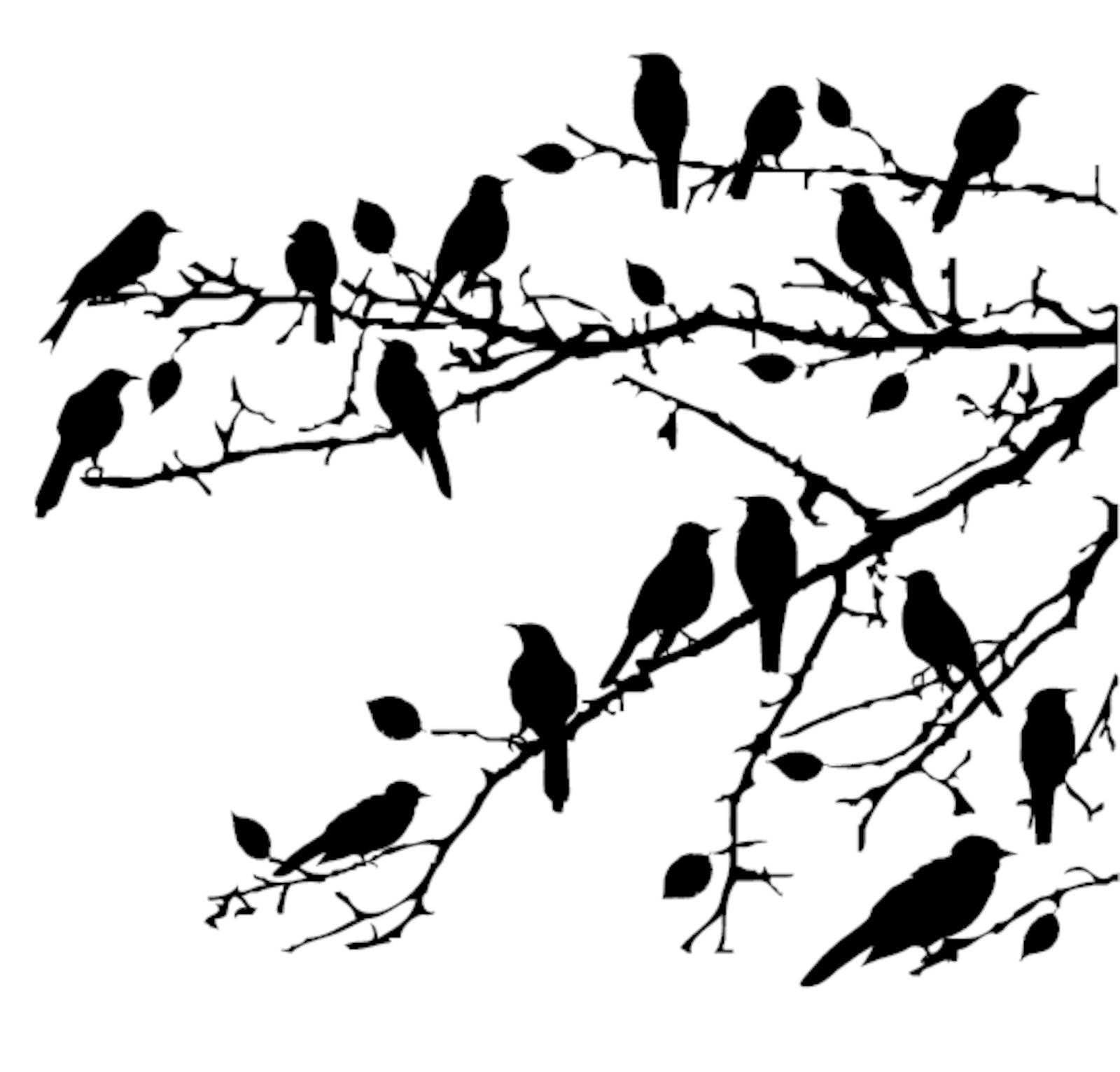vector birds silhouettes on branches