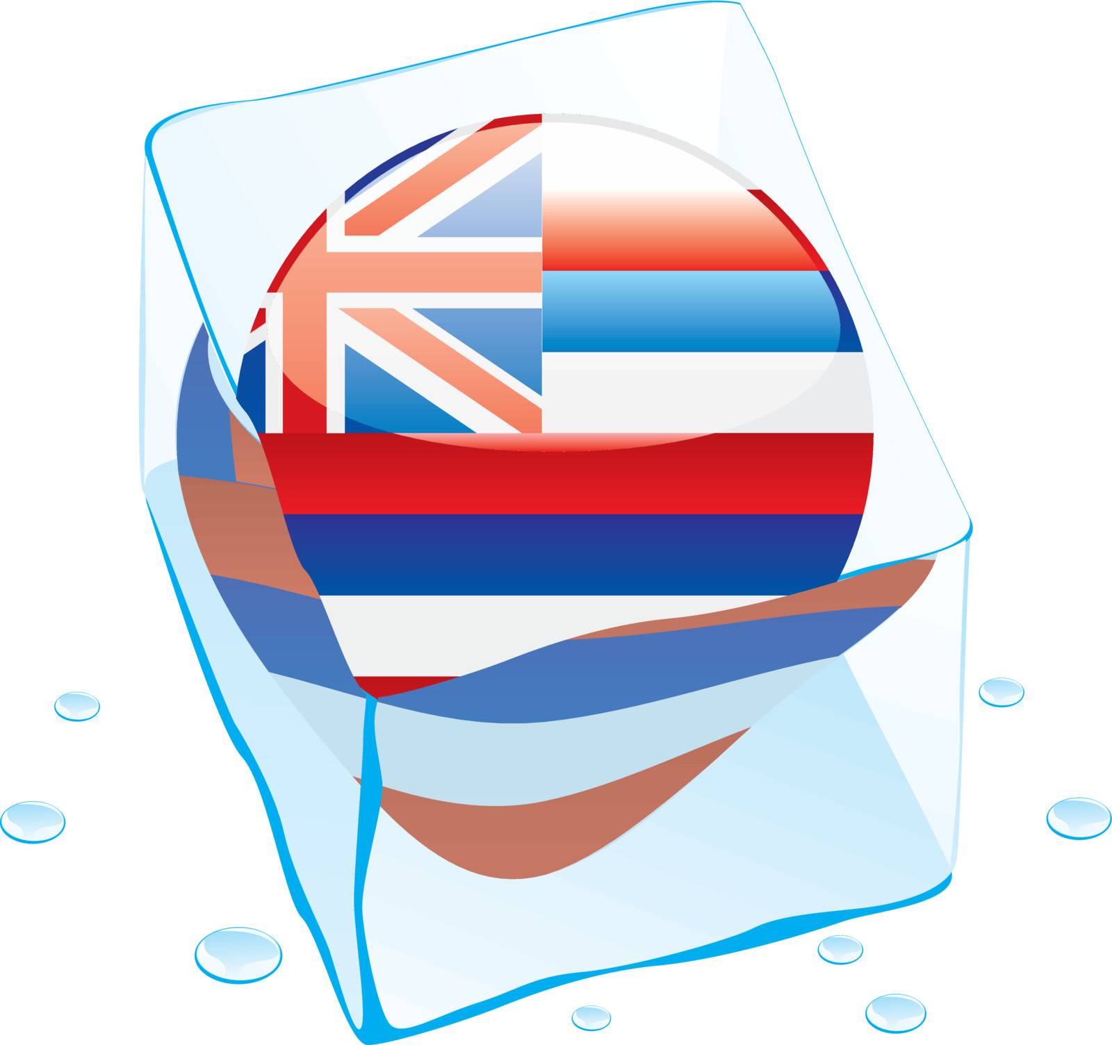 fully editable vector illustration of hawaii button flag frozen in ice cube