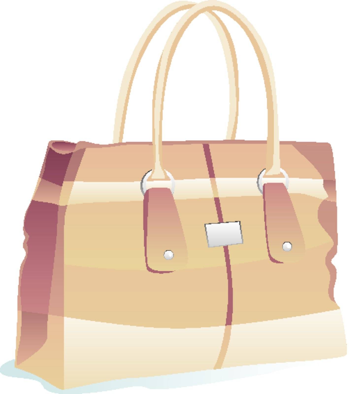 fully editable vector illustration of isolated bag