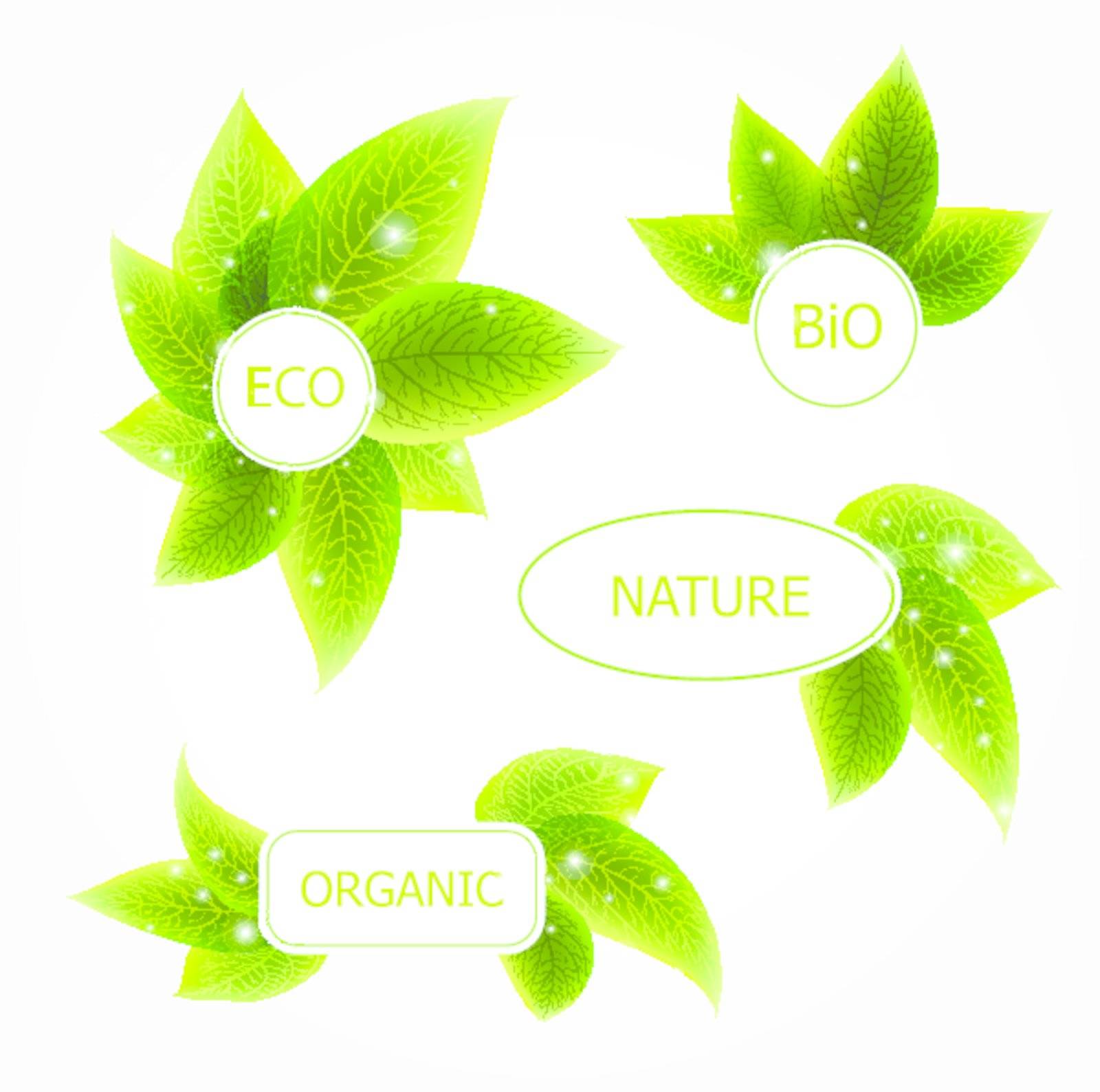 Abstract vector natural banners with leafs by Lemuana
