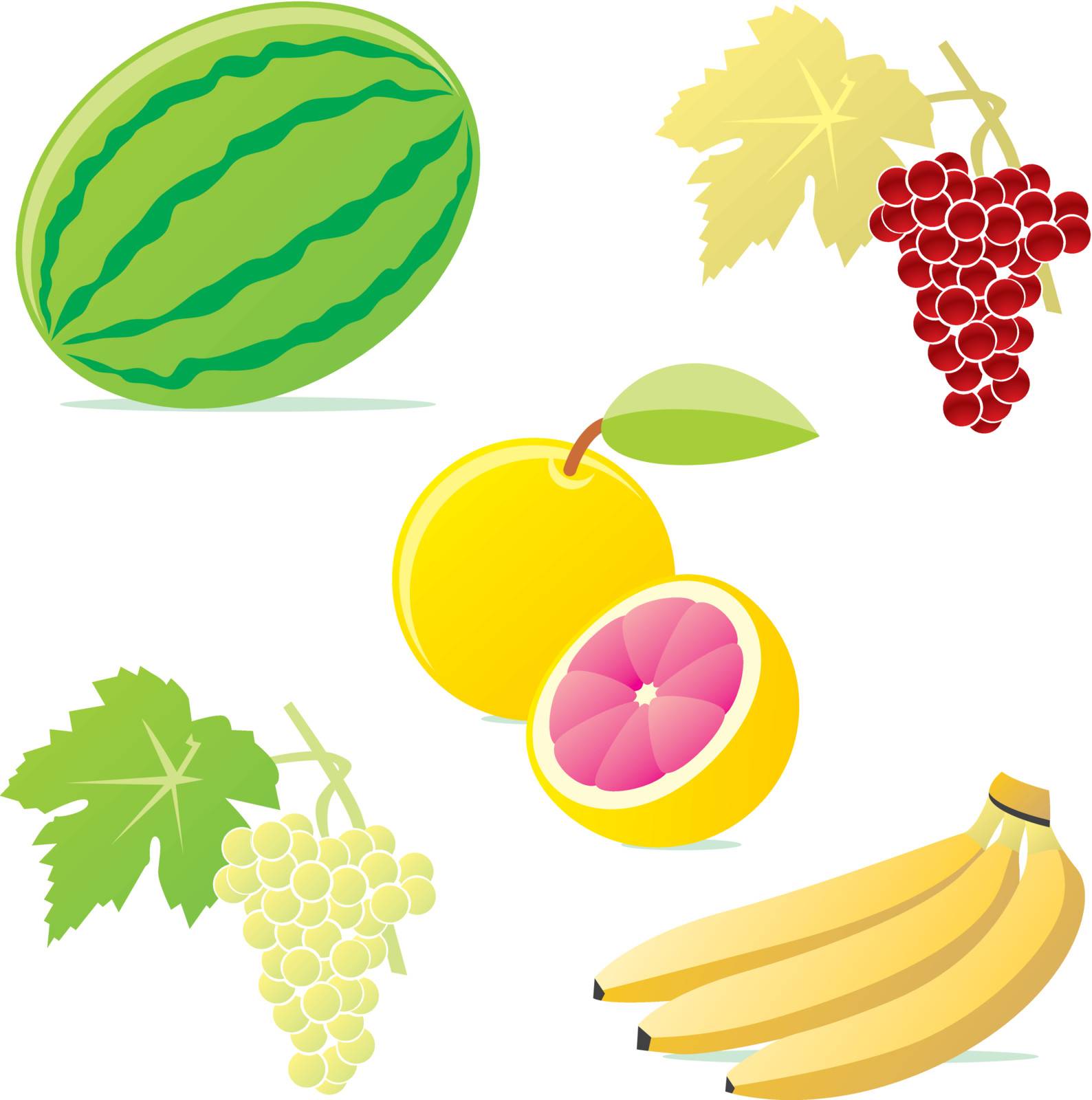 fully editable vector illustration of isolated fruits