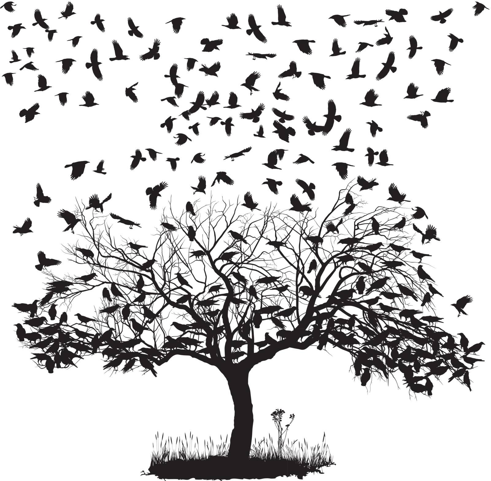 vector illustration of the crows on the tree and in the air