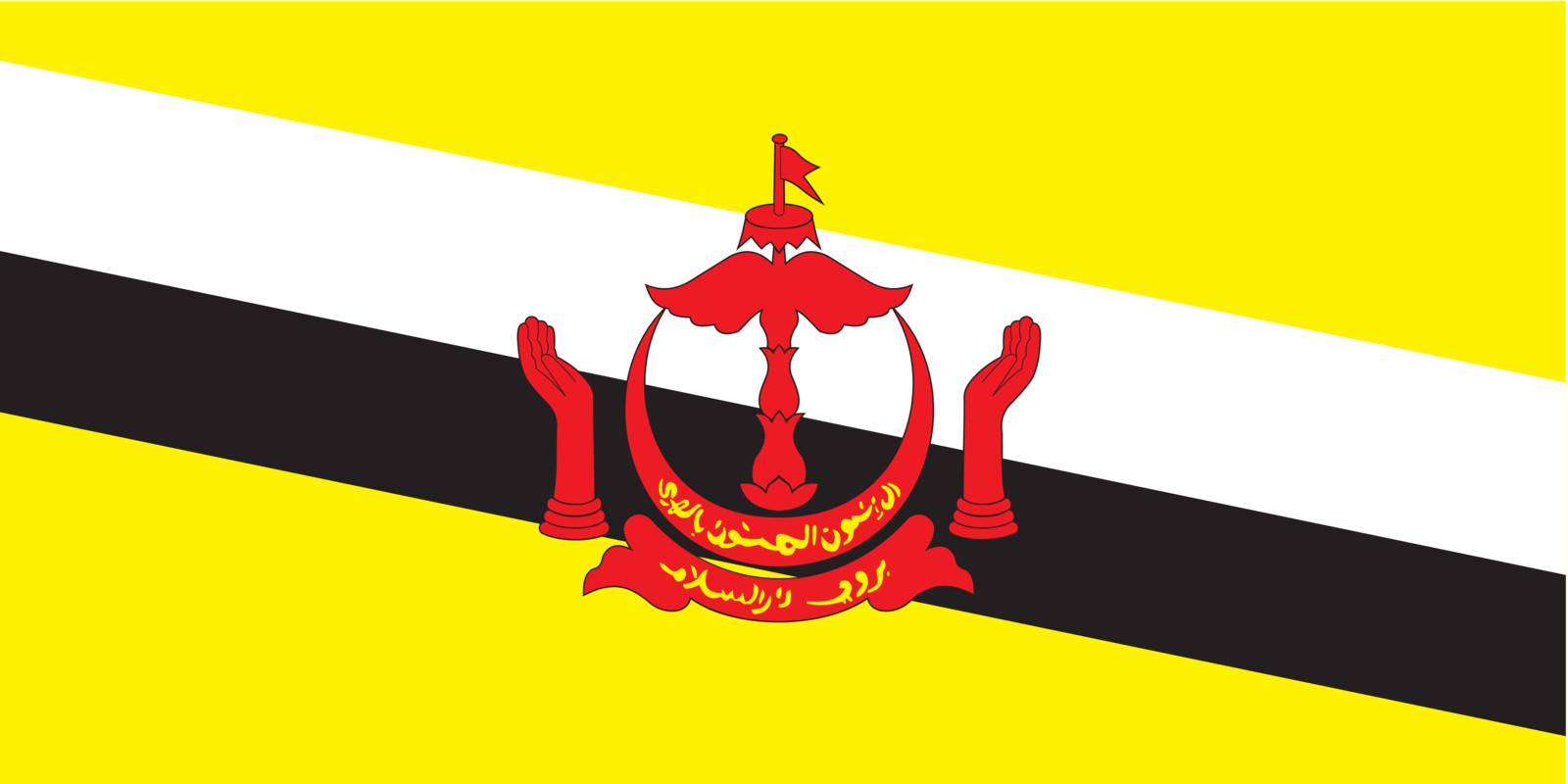 Brunei flag by kaloyanpetrov