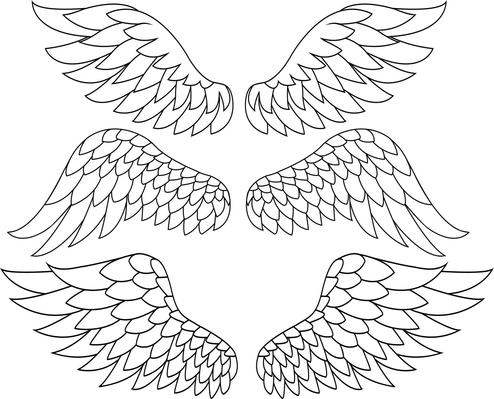 Vector Illustration Of Wings