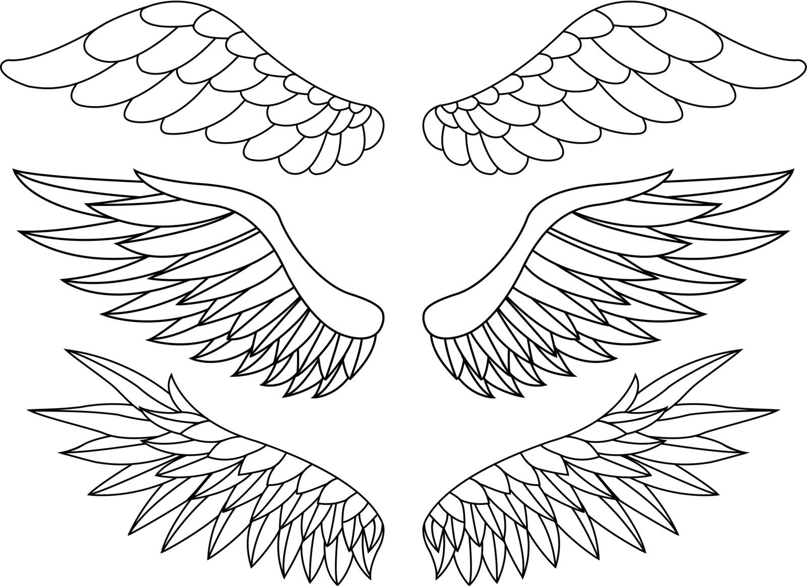 vector illustration of Wings