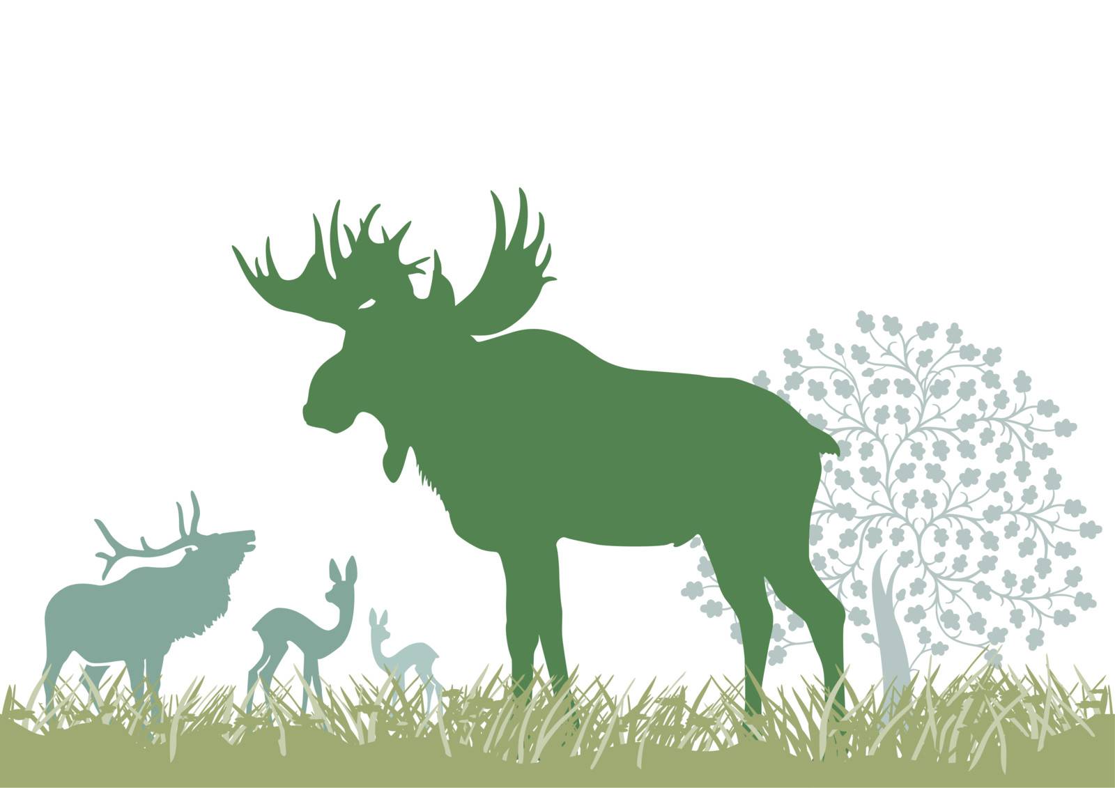 Elk and wild animals by scusi