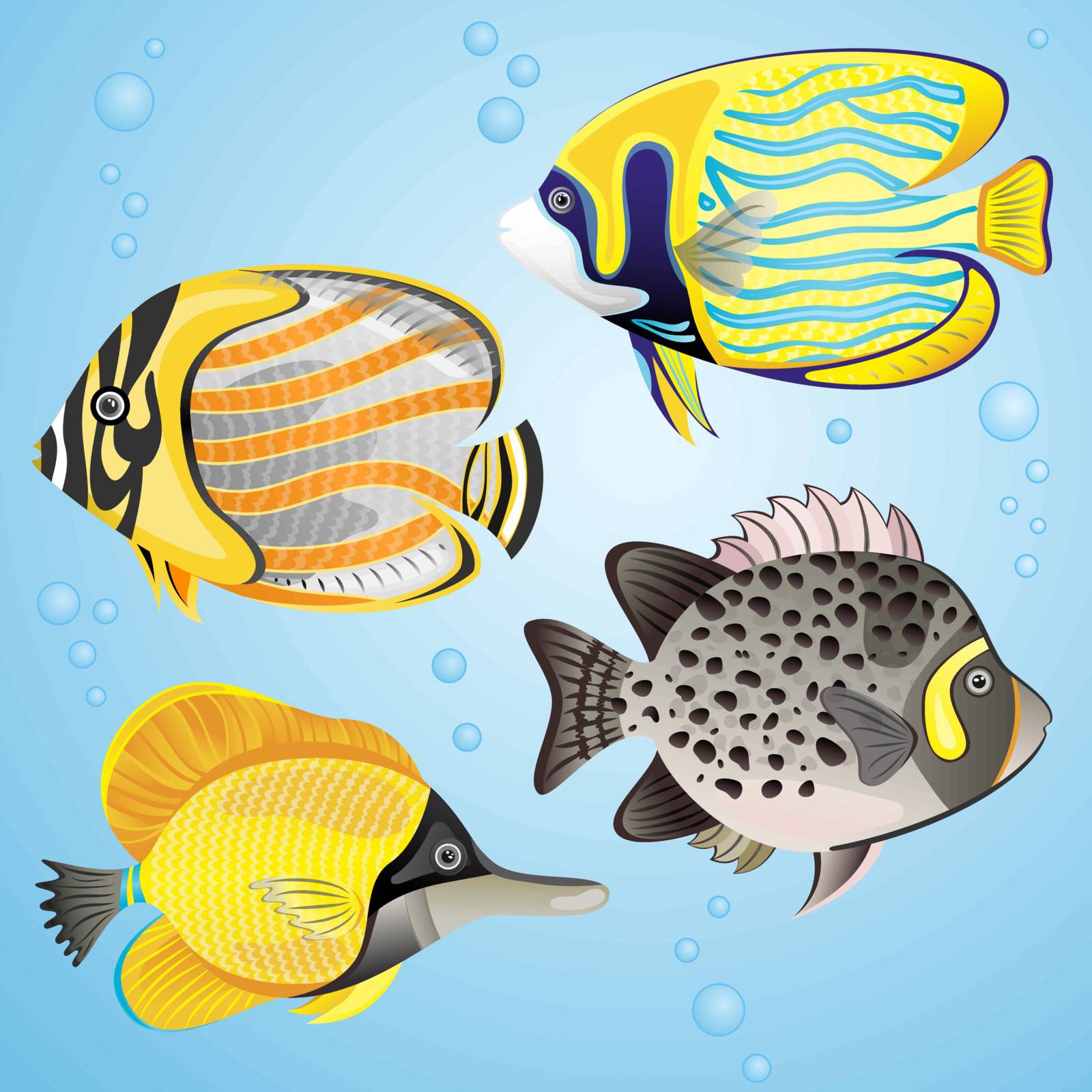 Exotic fish set on blue background. EPS 10 vector illustration. Each element is isolated on a separate layer