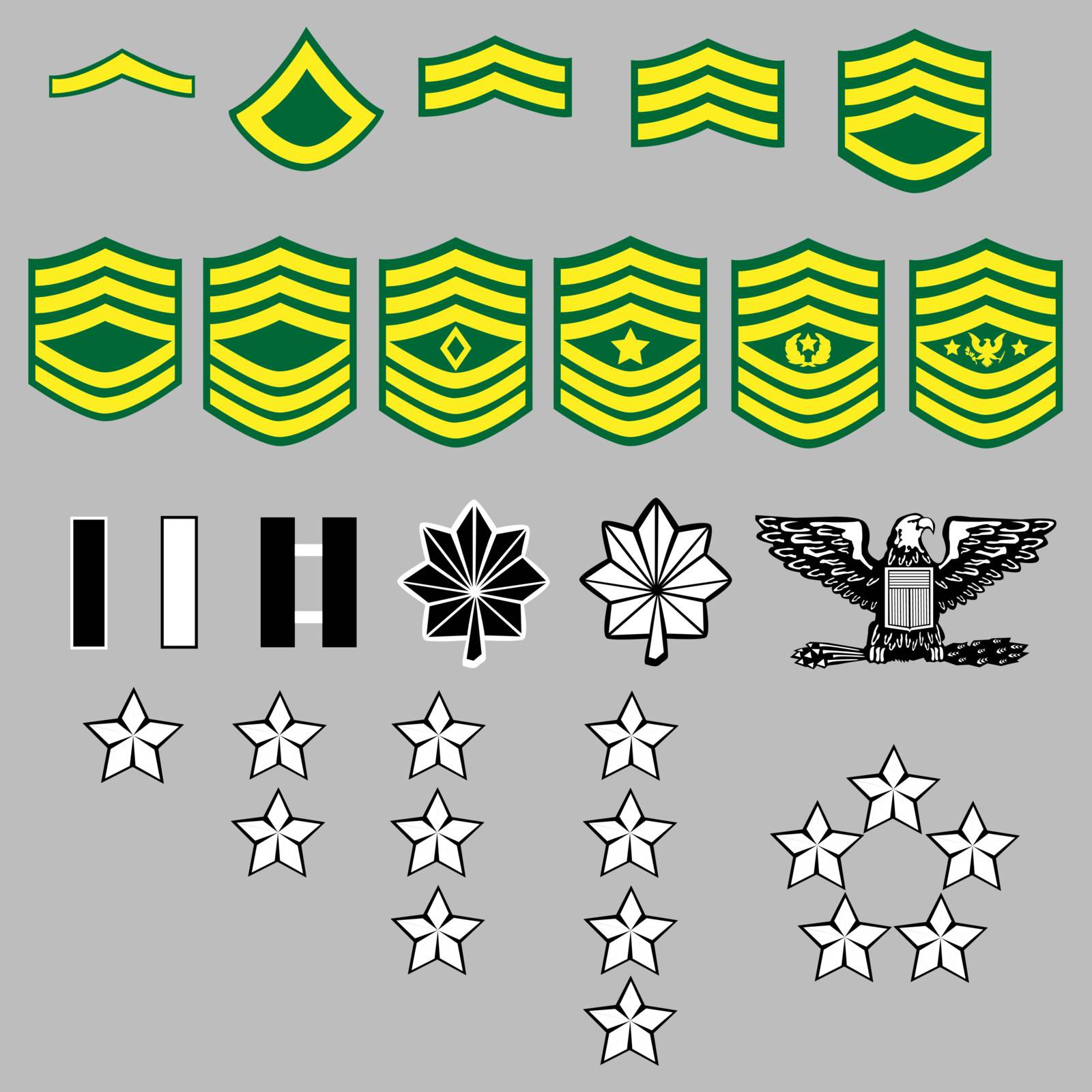 US Army rank insignia for officers and enlisted in vector format