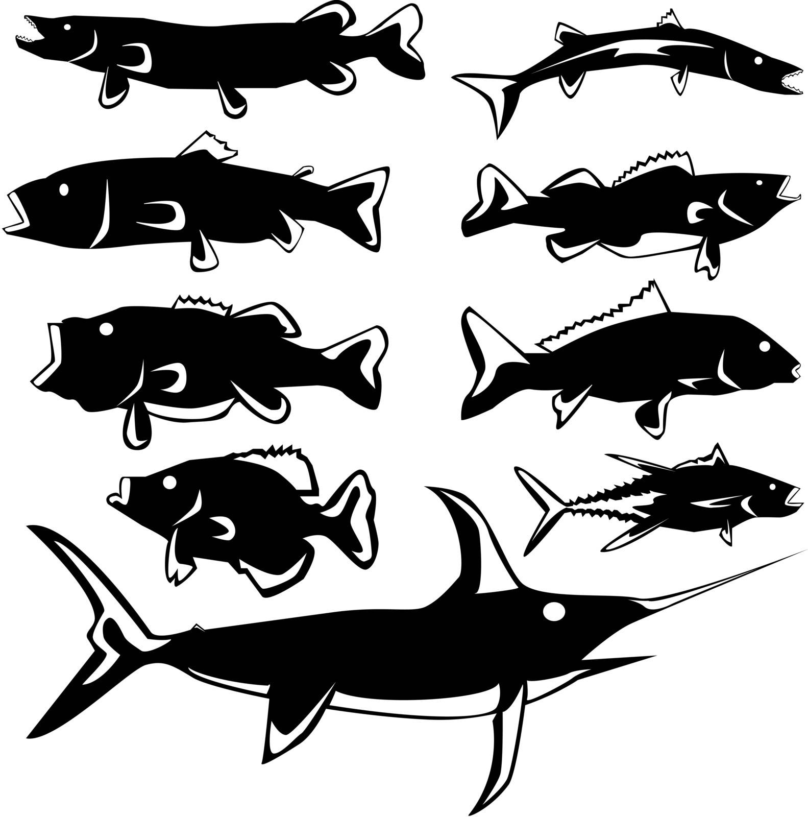 Freshwater and saltwater fish in vector silhouette with stylized illustration