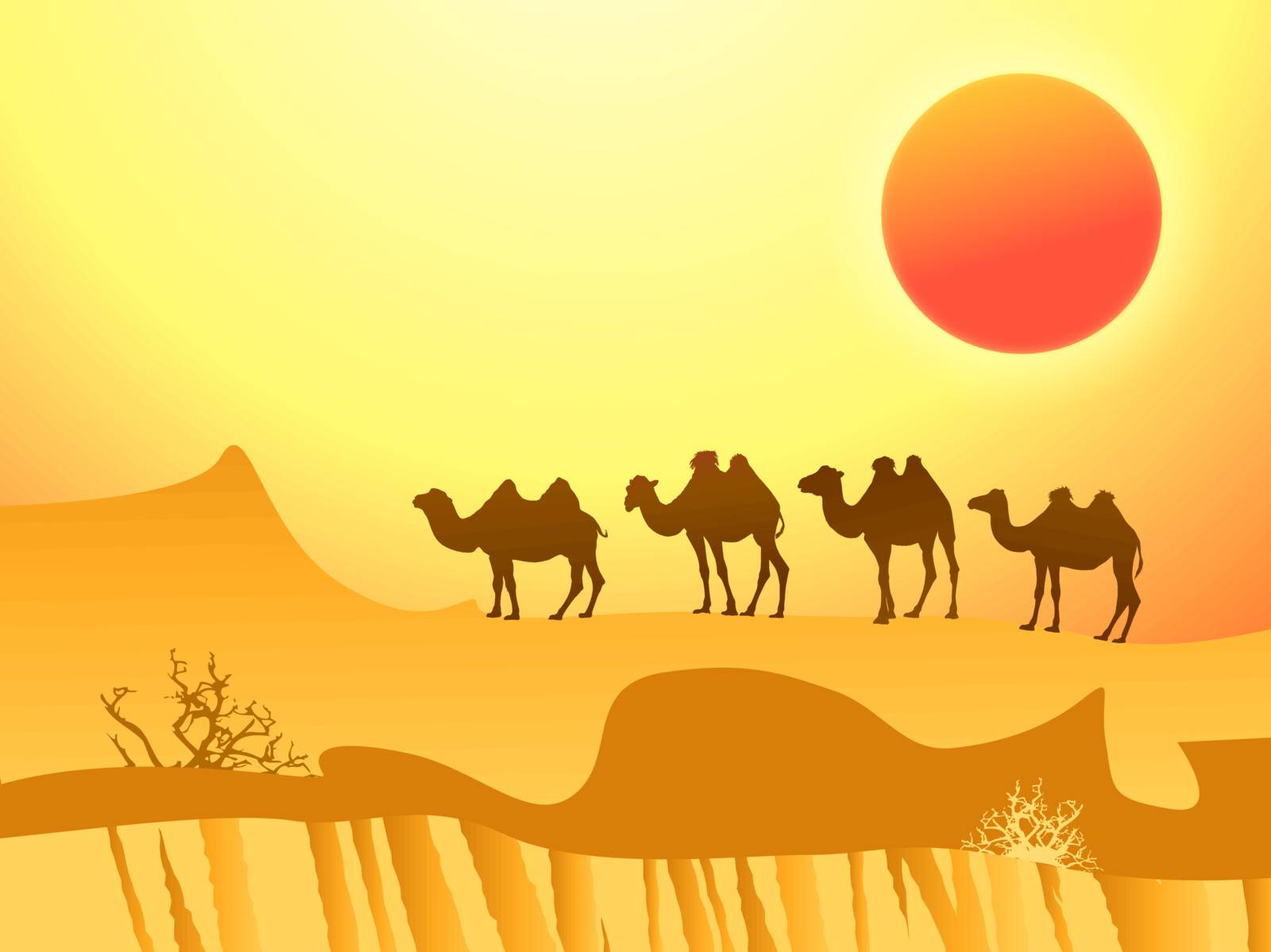 camel caravan in the desert with red sun 
