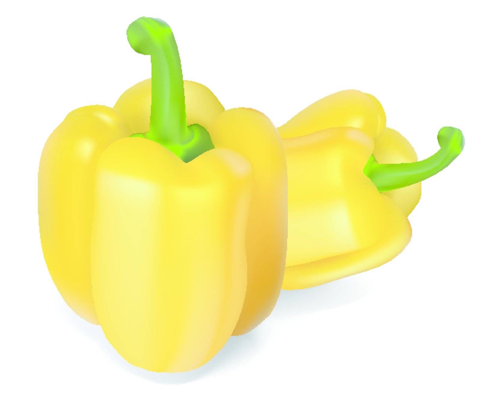 Fresh yellow peppers, vector illustration isolated on a white background