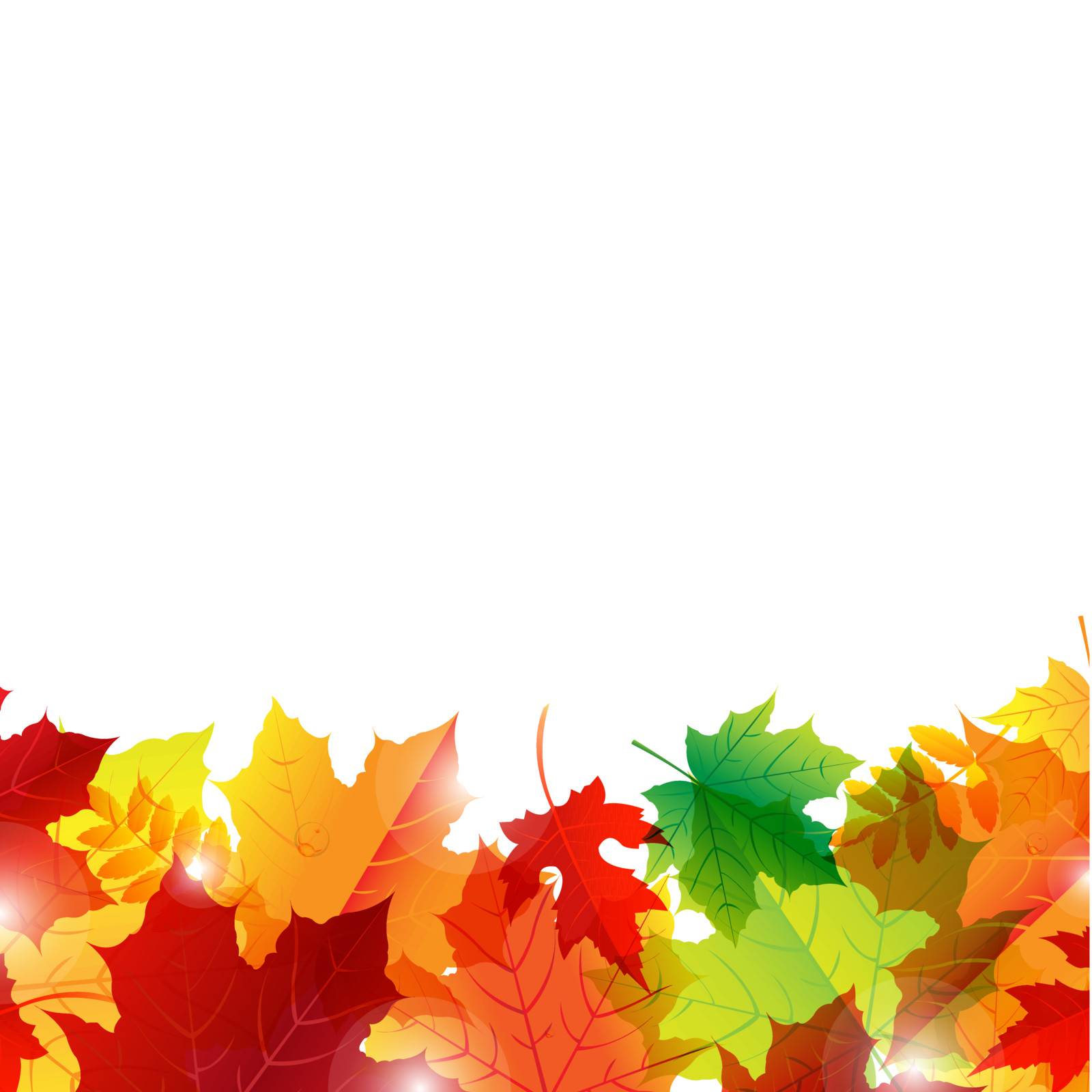 Autumn Border, Isolated On White Background, Vector Illustration