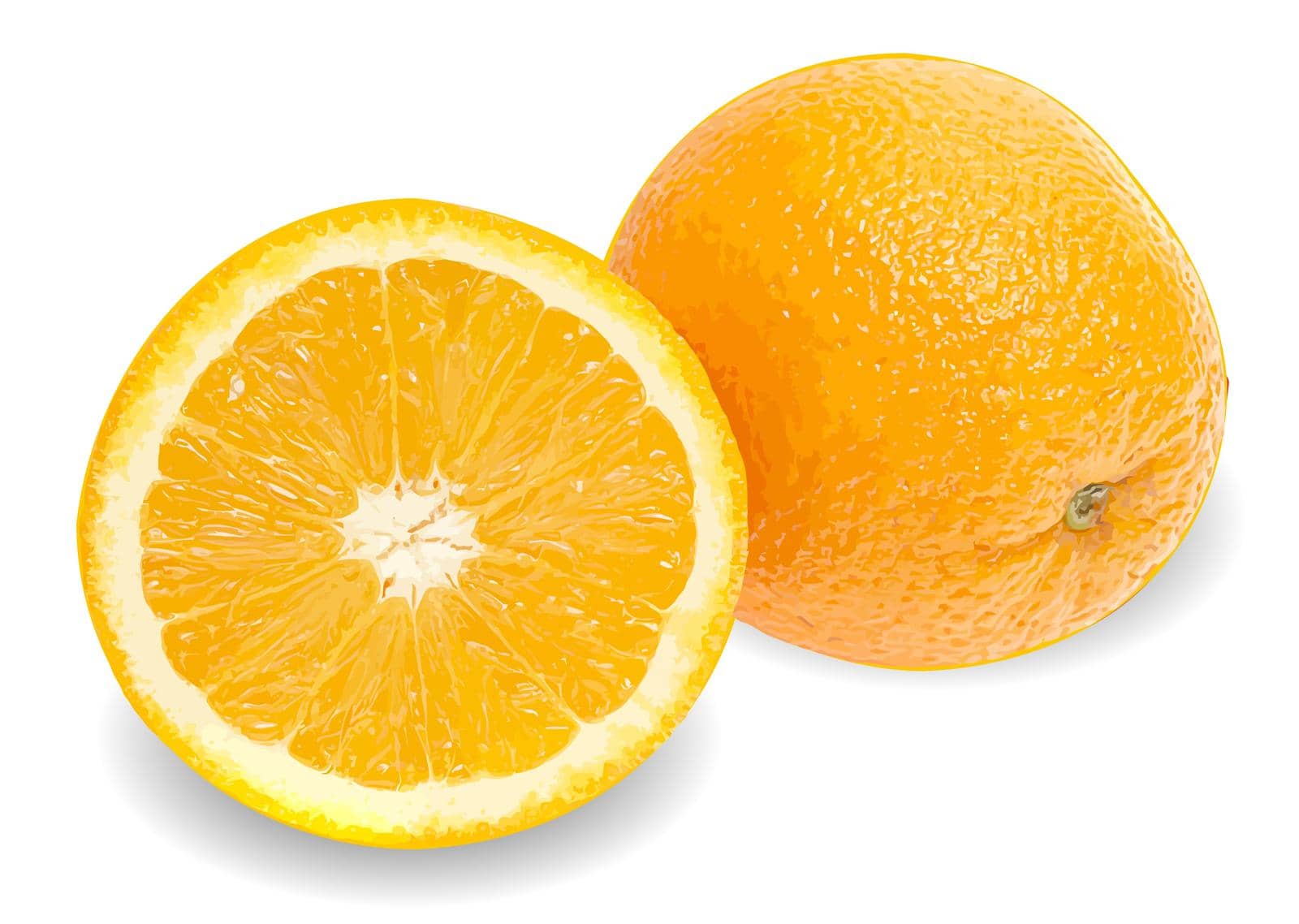 Fresh juicy orange background vector illustration

