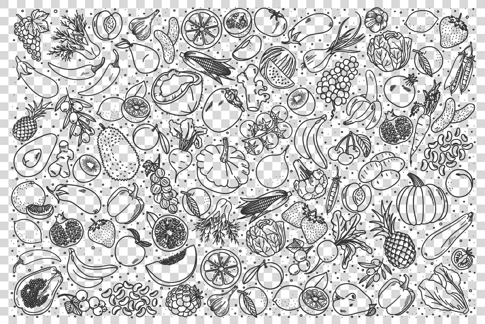 Vegan doodle set. Collection of hand drawn sketches templates patterns of vegans dieting meal natural vegetarian nutrition smoothie cocktail cereals vegetables fruits. Healthy lifestyle illustration.