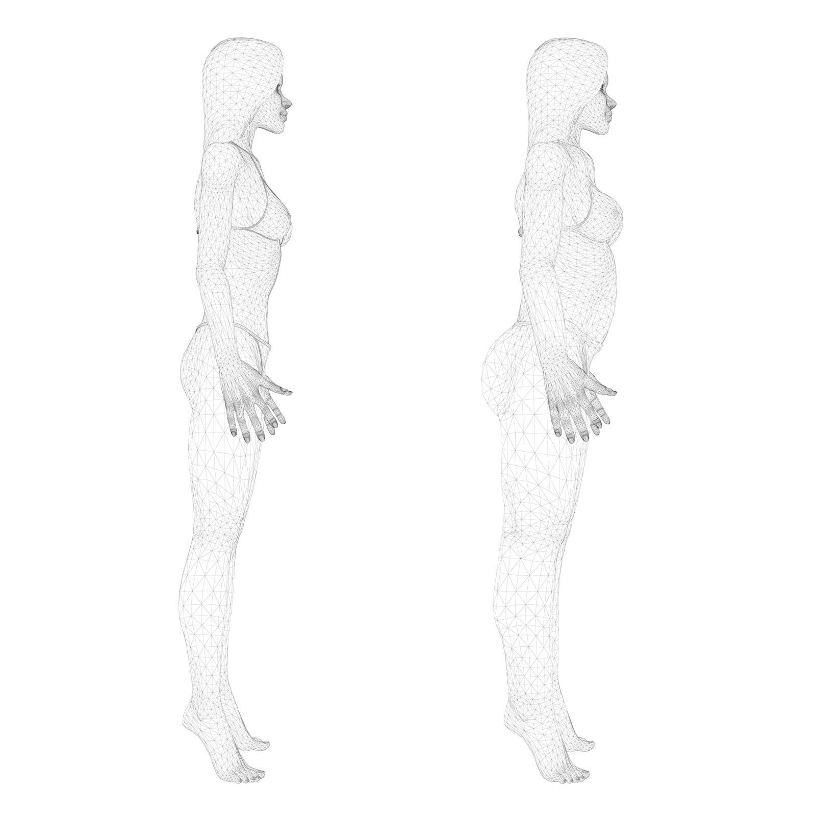 Two models of a wireframe girl in underwear, a slim and fat girl. The process of obesity of the girl body. Side view. 3D. Vector illustration.