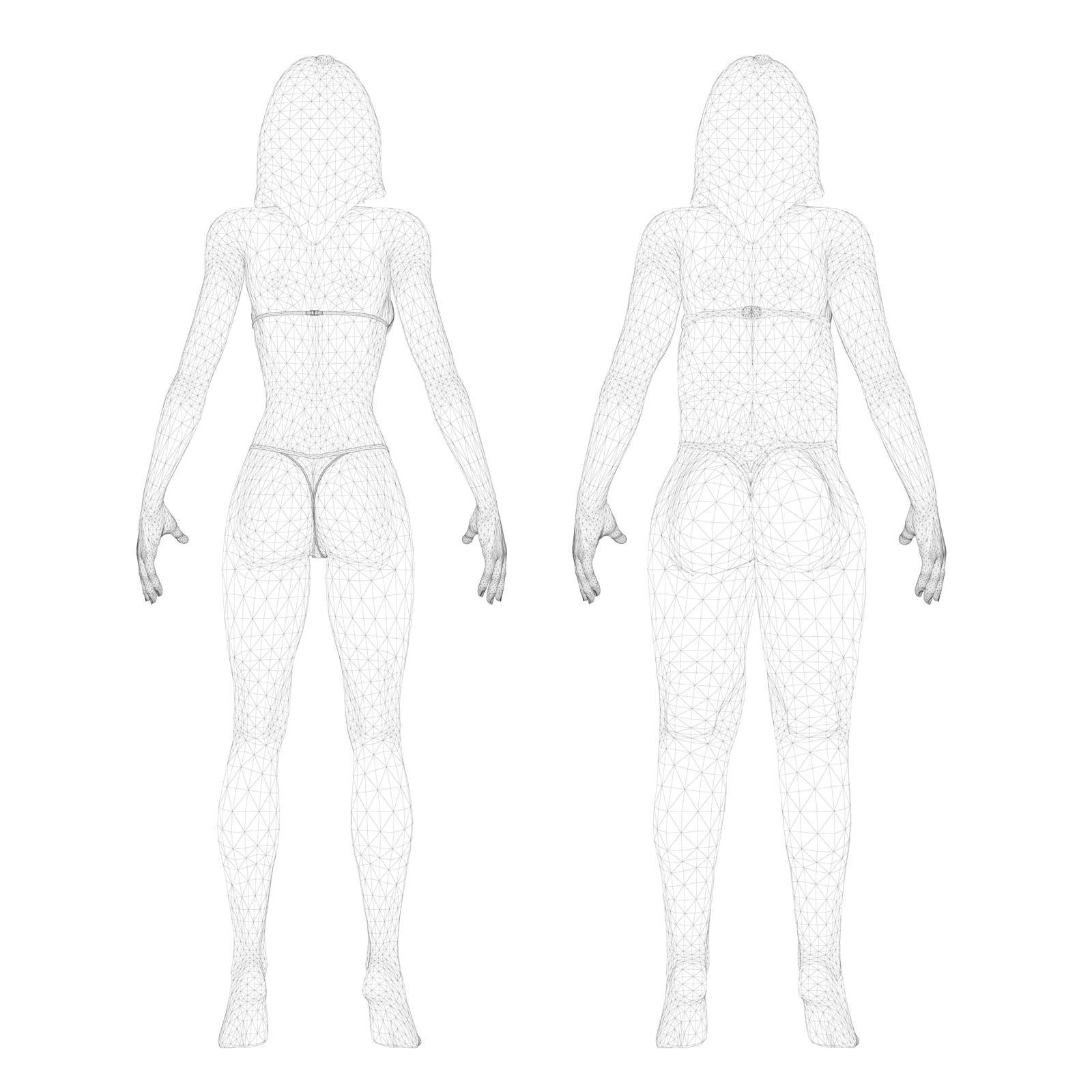 Two models of a wireframe girl in underwear, a slim and fat girl. The process of obesity of the girl body. Back view. 3D. Vector illustration.