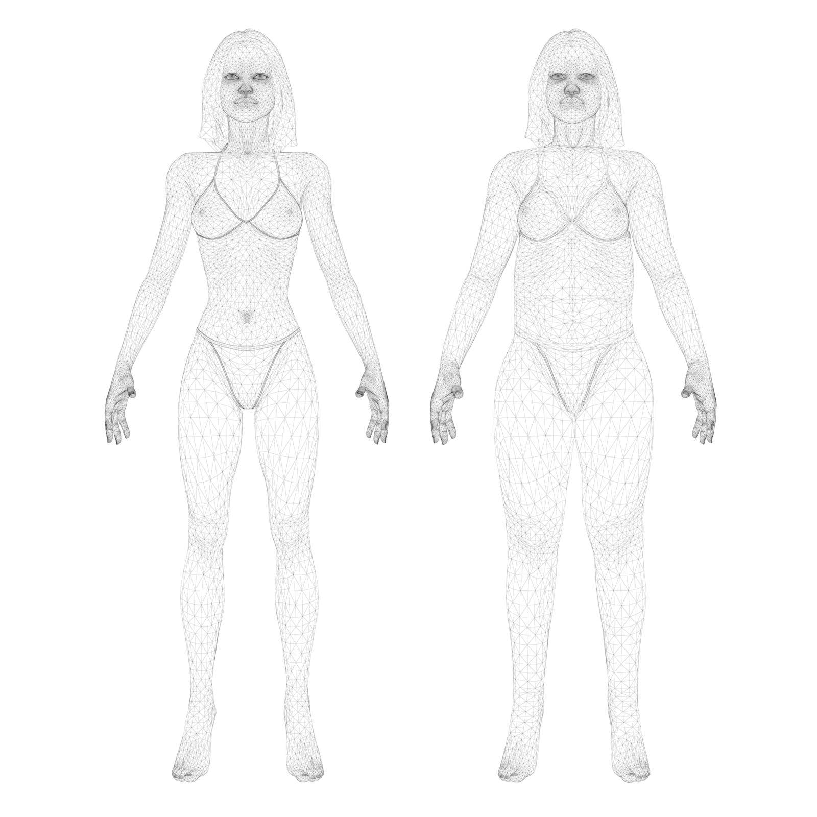 Two models of a wireframe girl in underwear, a slim and fat girl. The process of obesity of the girl body. Front view. 3D. Vector illustration.