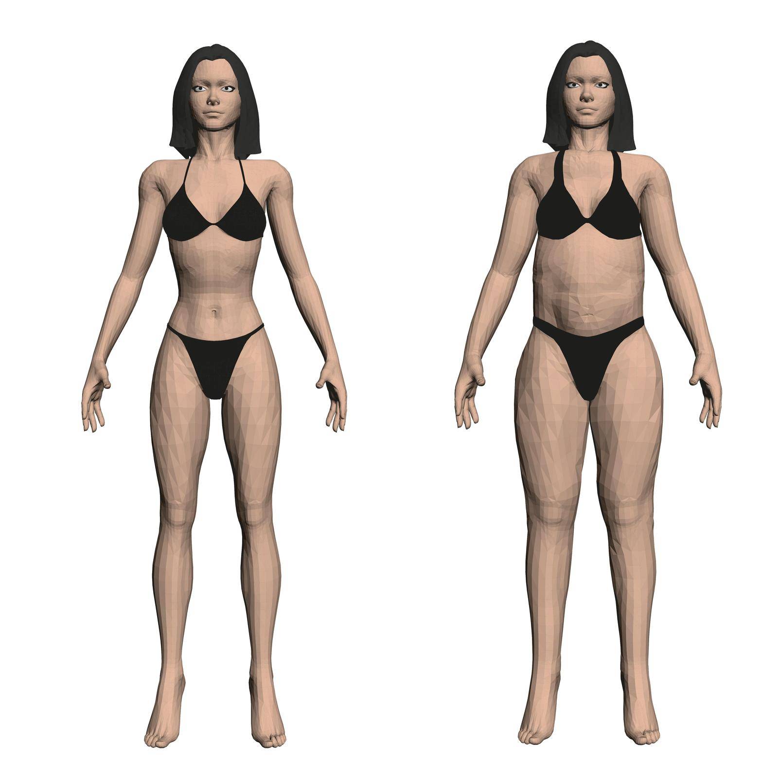 Two model girls in underwear, a slim and fat girl. The process of obesity of the girl body. Front view. 3D. Vector illustration.
