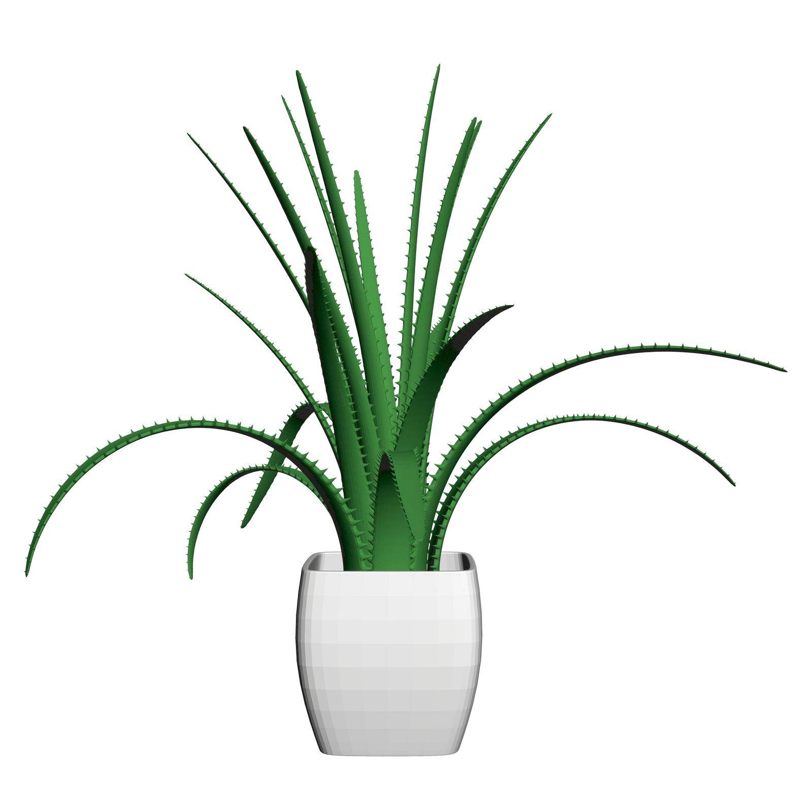 Green flower in a white pot isolated on a white background. Aloe flower. Front view. 3D. Vector illustration by Slim3D