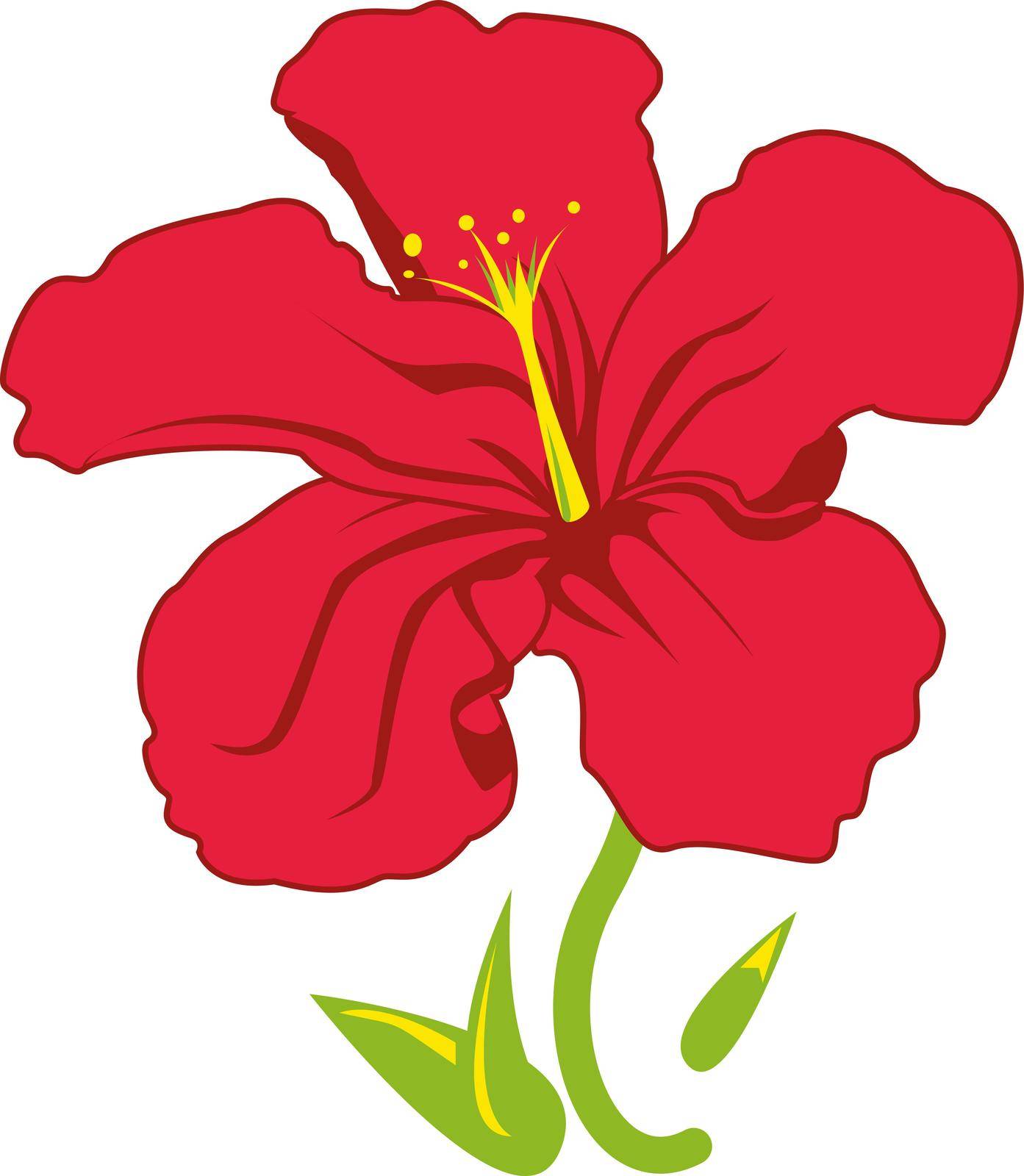 Flower Of Red Hibiscus - isolated on white background