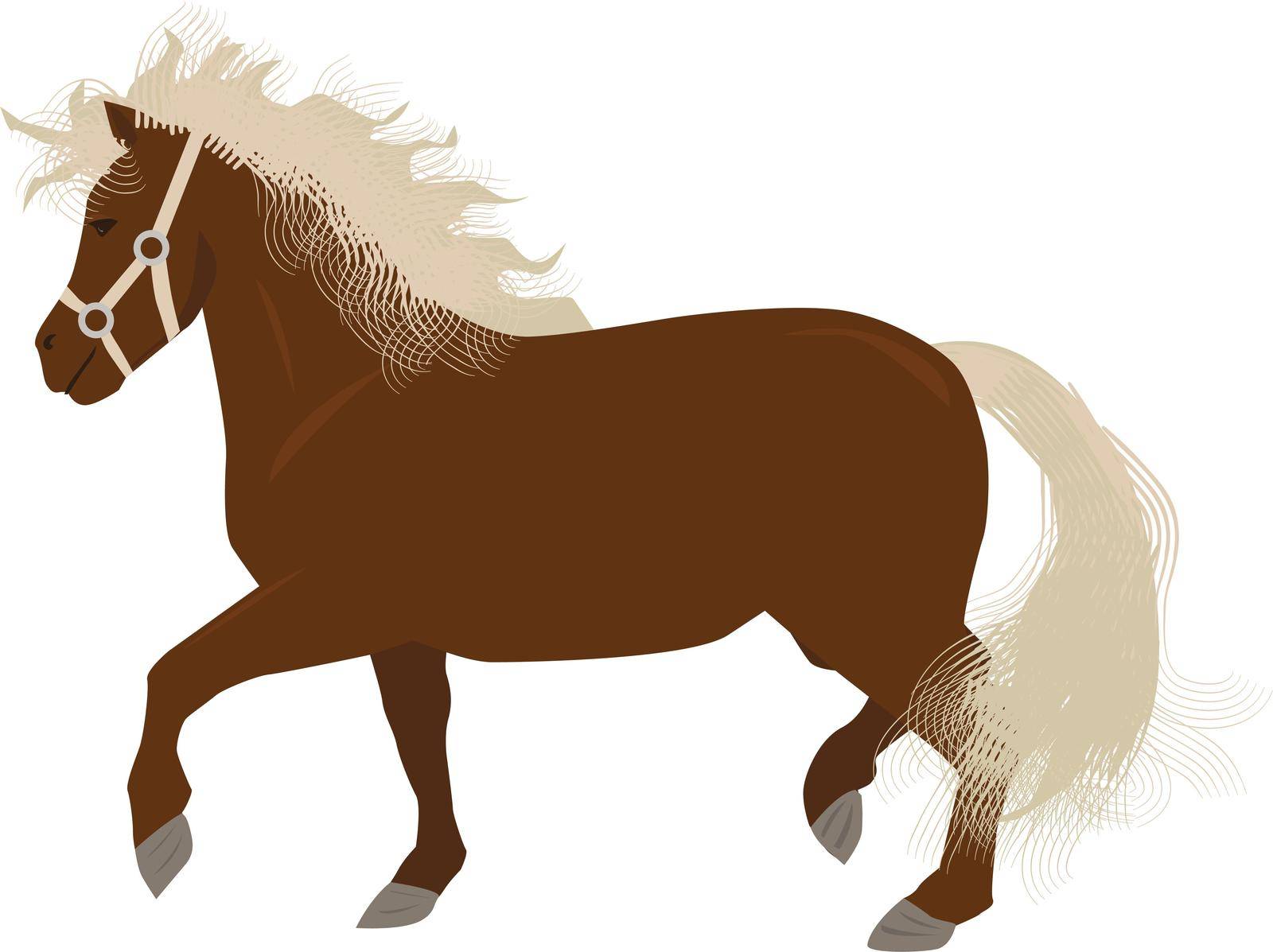 Mini horse or pony with long tail and mane in vector isolated on white background
