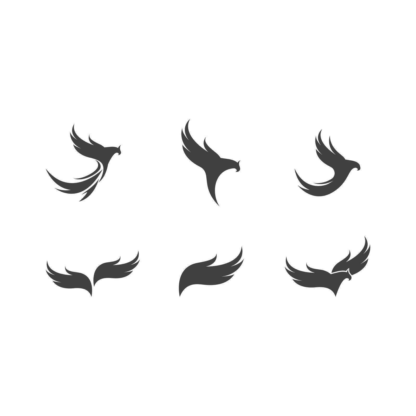 Falcon Eagle Bird Logo Template by awk