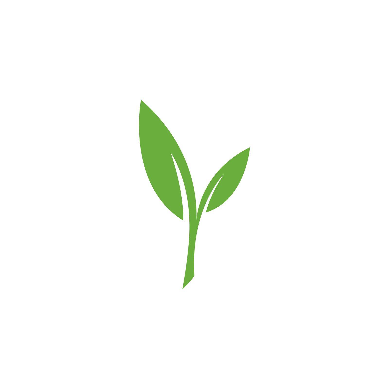 Eco Tree Leaf Logo Template by kosasihindra55