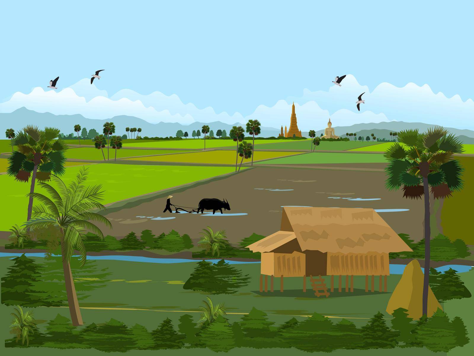 Rice fields in Thailand. Farmers' houses in green fields. Farmers plowing fields with sugar palm trees, rice fields, mountains, Buddhist temples and sky as the background.