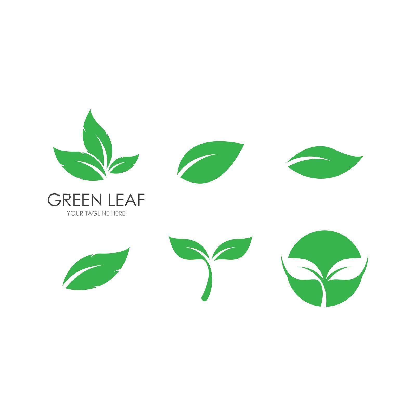 Green leaf by awk