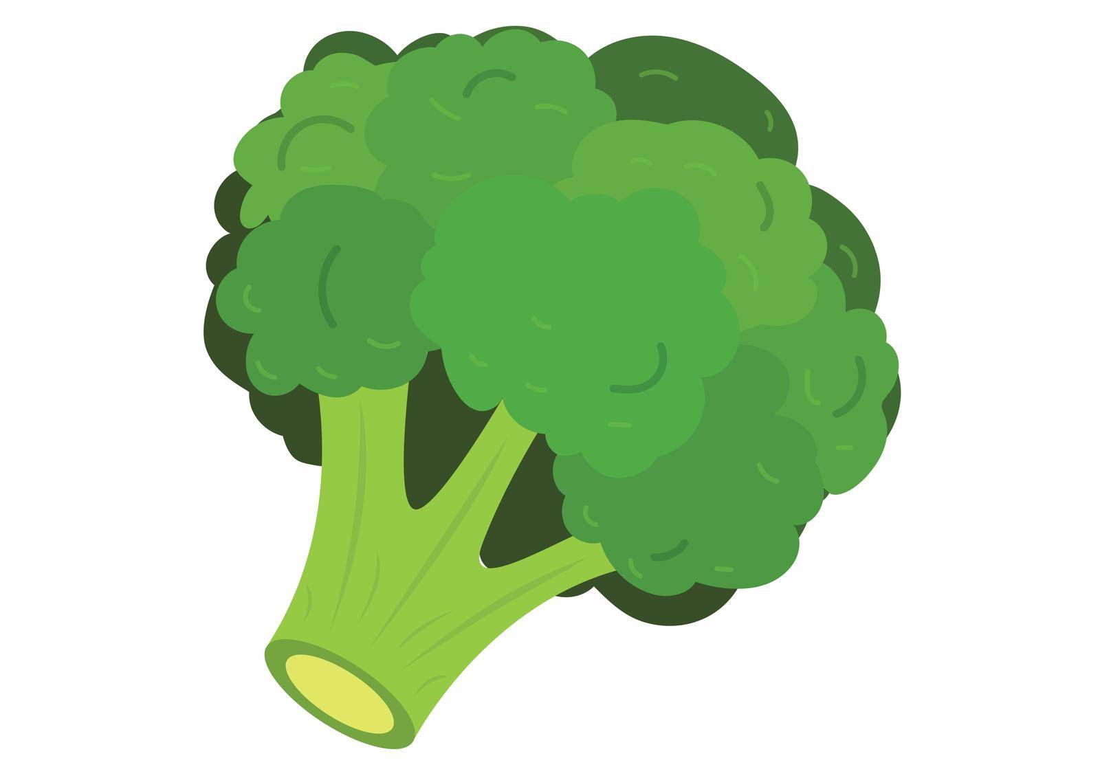 Clipart Vector Broccoli by mihaigr10